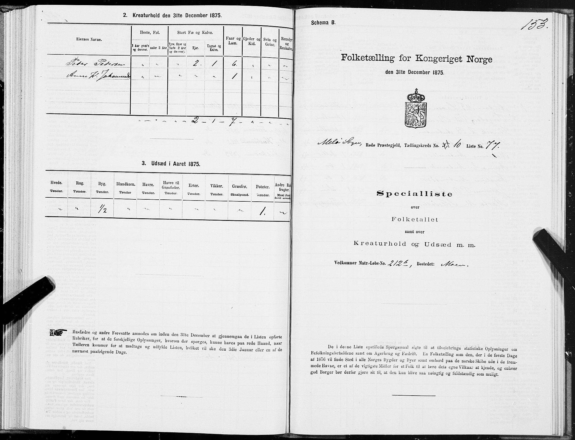 SAT, 1875 census for 1836P Rødøy, 1875, p. 5153