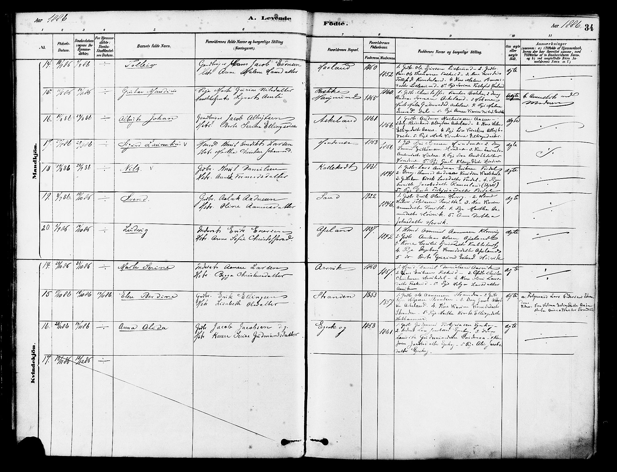 Tysvær sokneprestkontor, AV/SAST-A -101864/H/Ha/Haa/L0006: Parish register (official) no. A 6, 1878-1896, p. 34