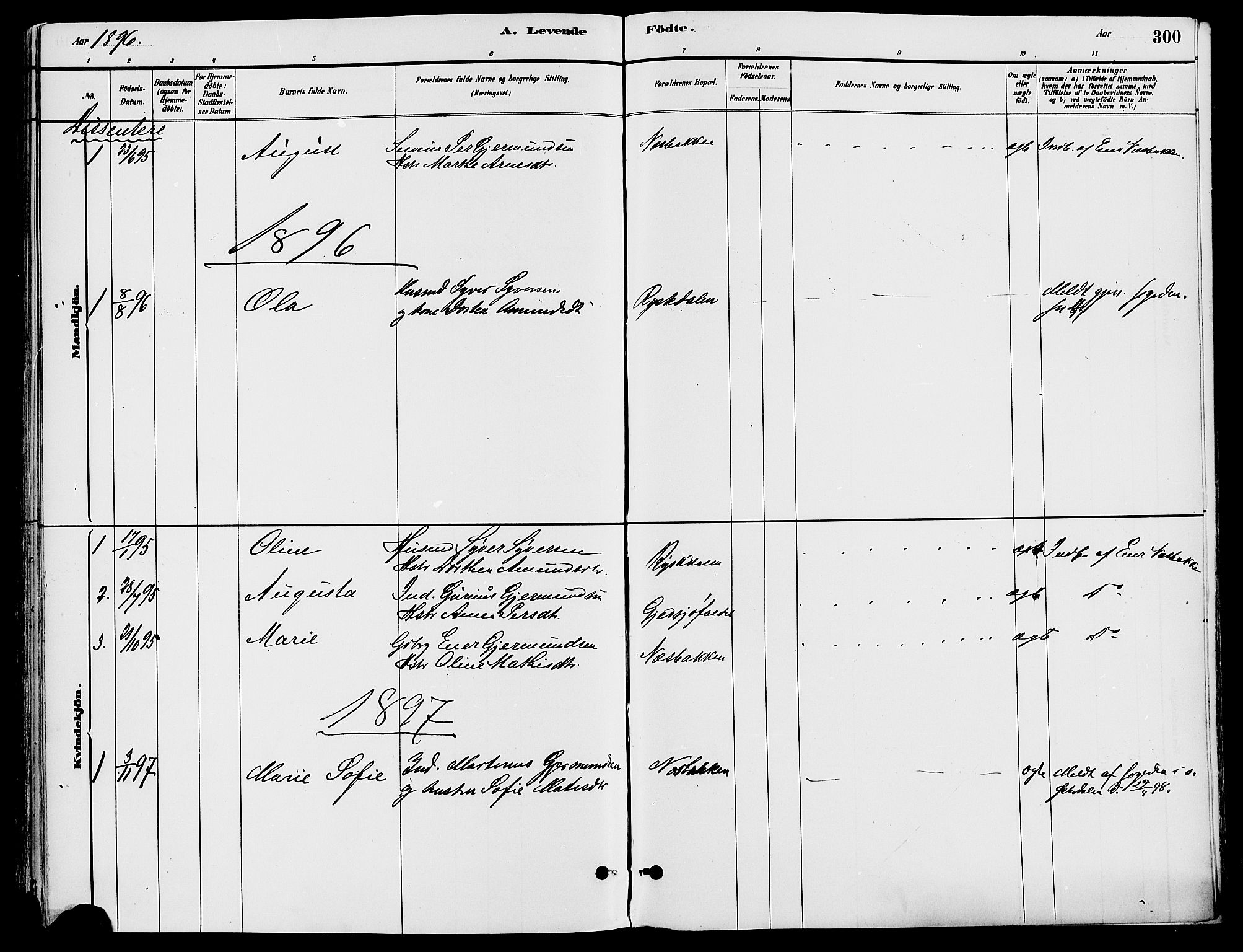 Trysil prestekontor, SAH/PREST-046/H/Ha/Haa/L0008: Parish register (official) no. 8, 1881-1897, p. 300