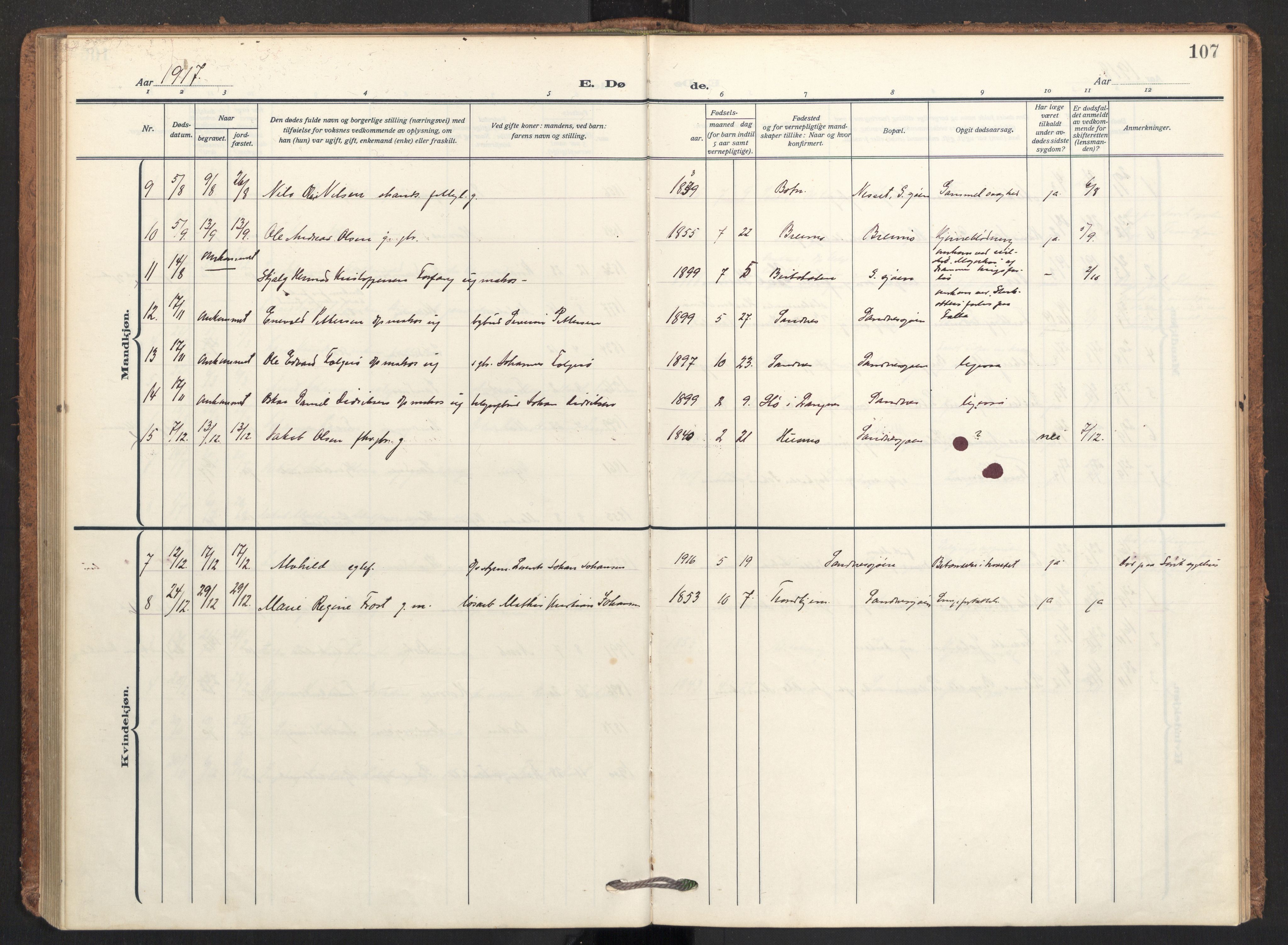 Ministerialprotokoller, klokkerbøker og fødselsregistre - Nordland, AV/SAT-A-1459/831/L0473: Parish register (official) no. 831A04, 1909-1934, p. 107