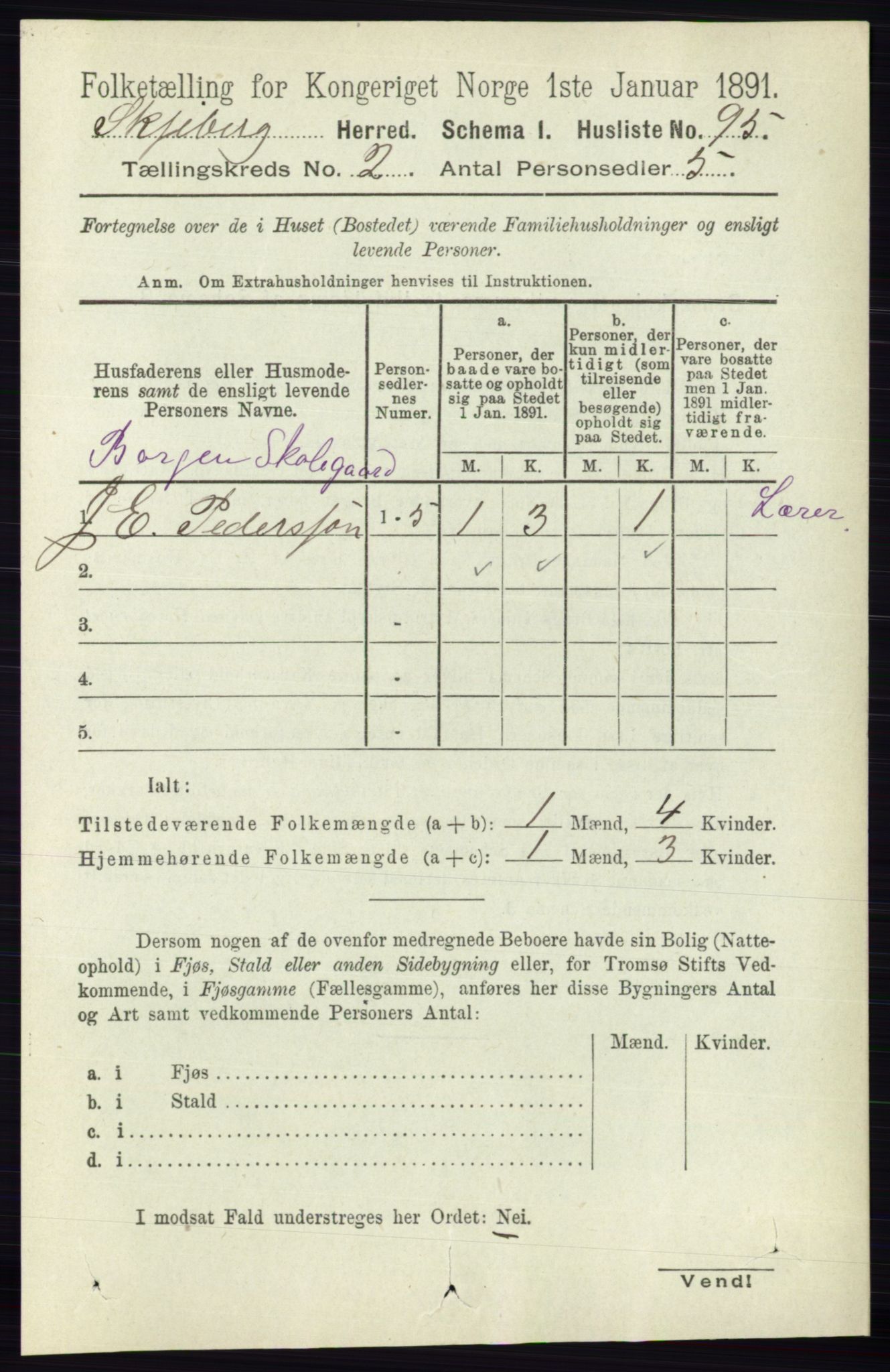 RA, 1891 census for 0115 Skjeberg, 1891, p. 905