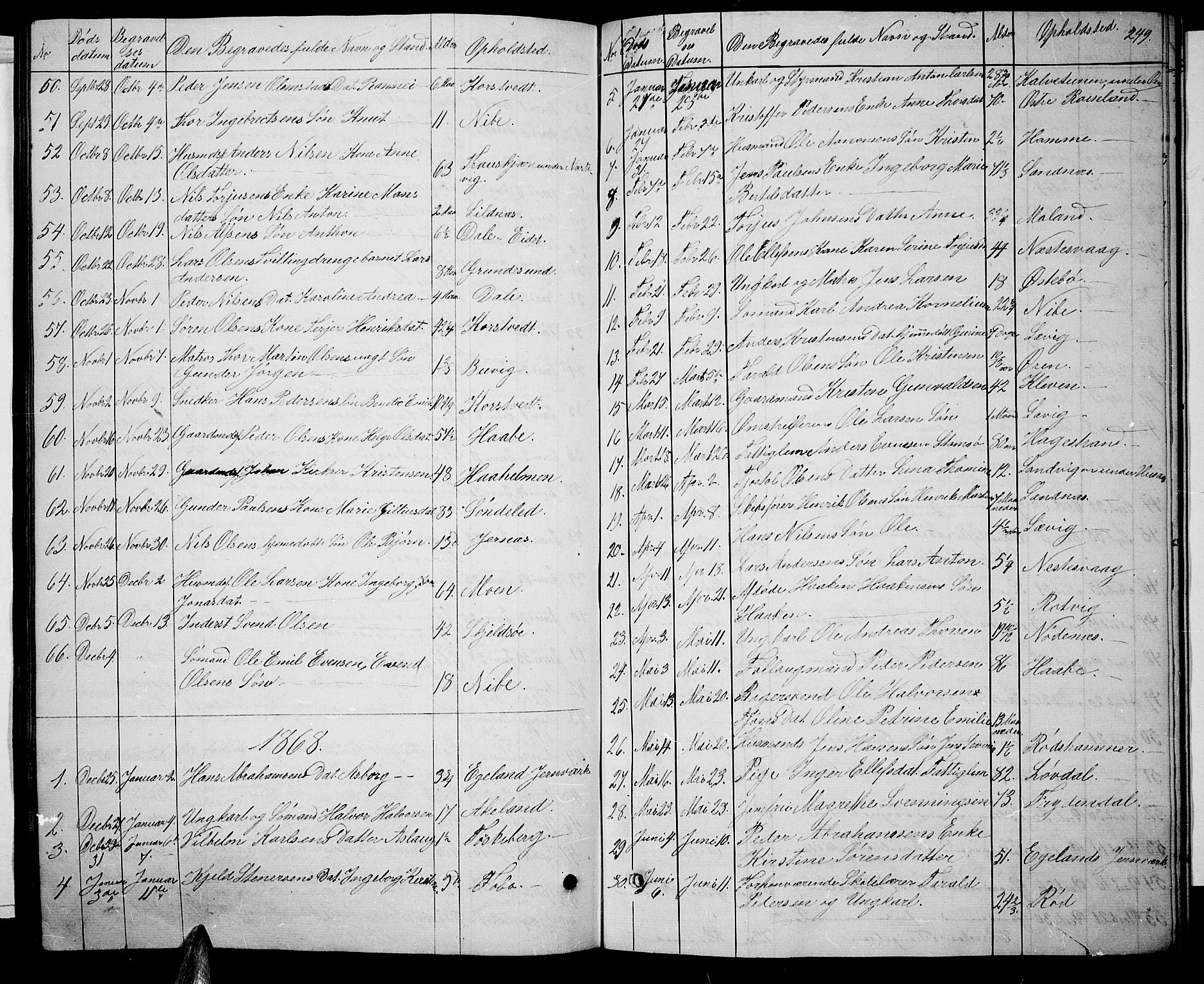 Søndeled sokneprestkontor, AV/SAK-1111-0038/F/Fb/L0004: Parish register (copy) no. B 4, 1857-1884, p. 249