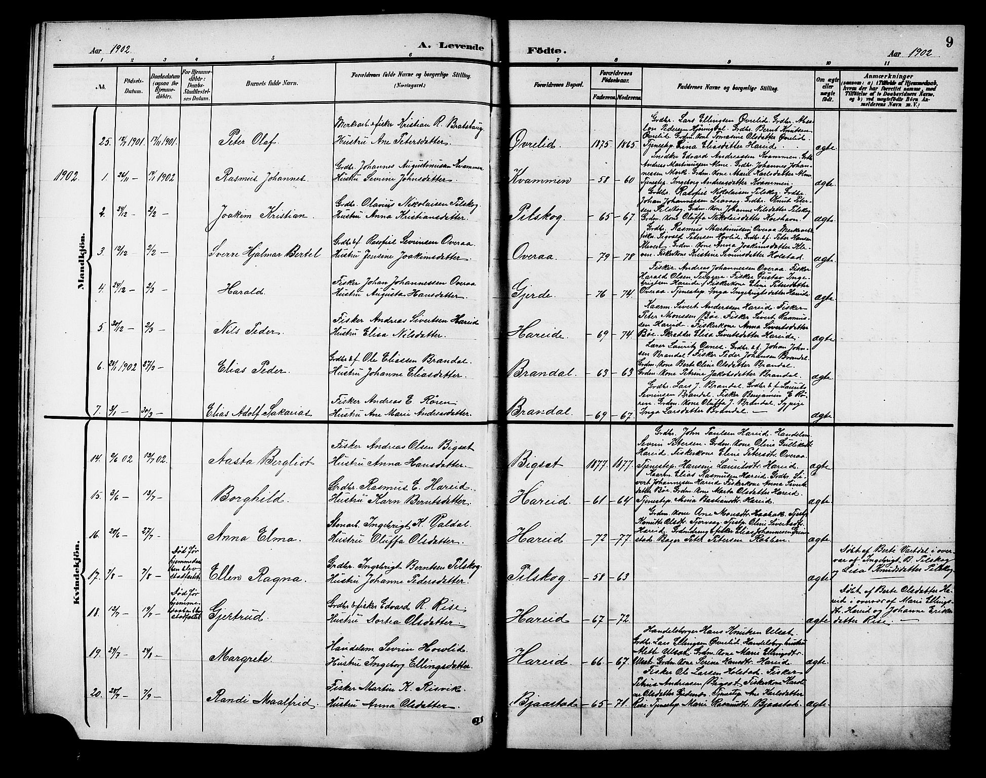 Ministerialprotokoller, klokkerbøker og fødselsregistre - Møre og Romsdal, AV/SAT-A-1454/510/L0126: Parish register (copy) no. 510C03, 1900-1922, p. 9