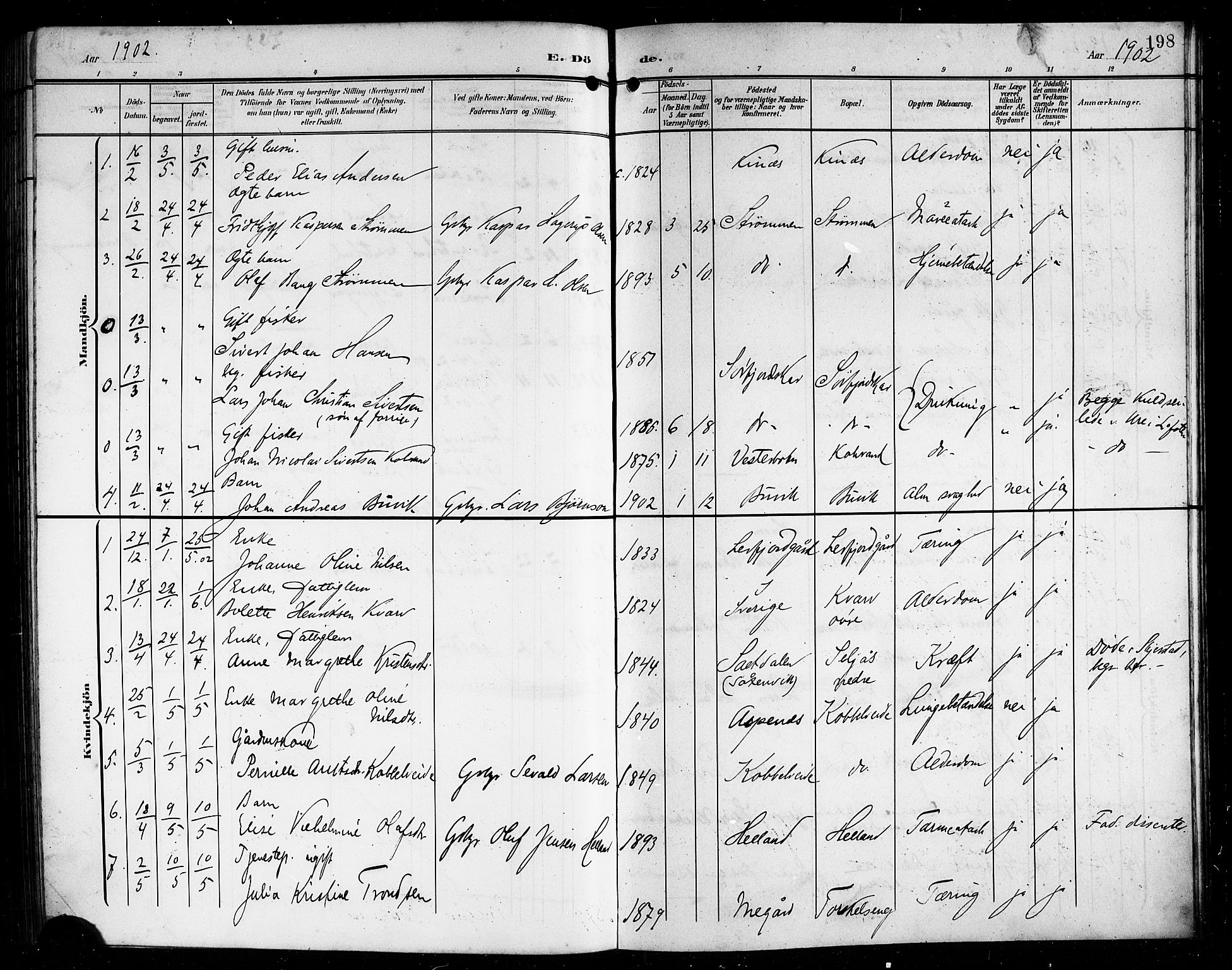 Ministerialprotokoller, klokkerbøker og fødselsregistre - Nordland, AV/SAT-A-1459/854/L0786: Parish register (copy) no. 854C02, 1901-1912, p. 198