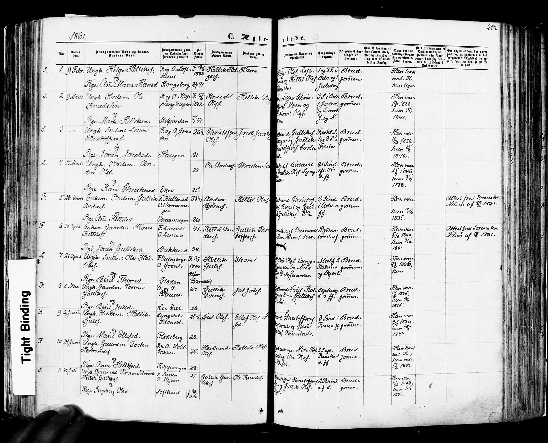 Flesberg kirkebøker, SAKO/A-18/F/Fa/L0007: Parish register (official) no. I 7, 1861-1878, p. 262