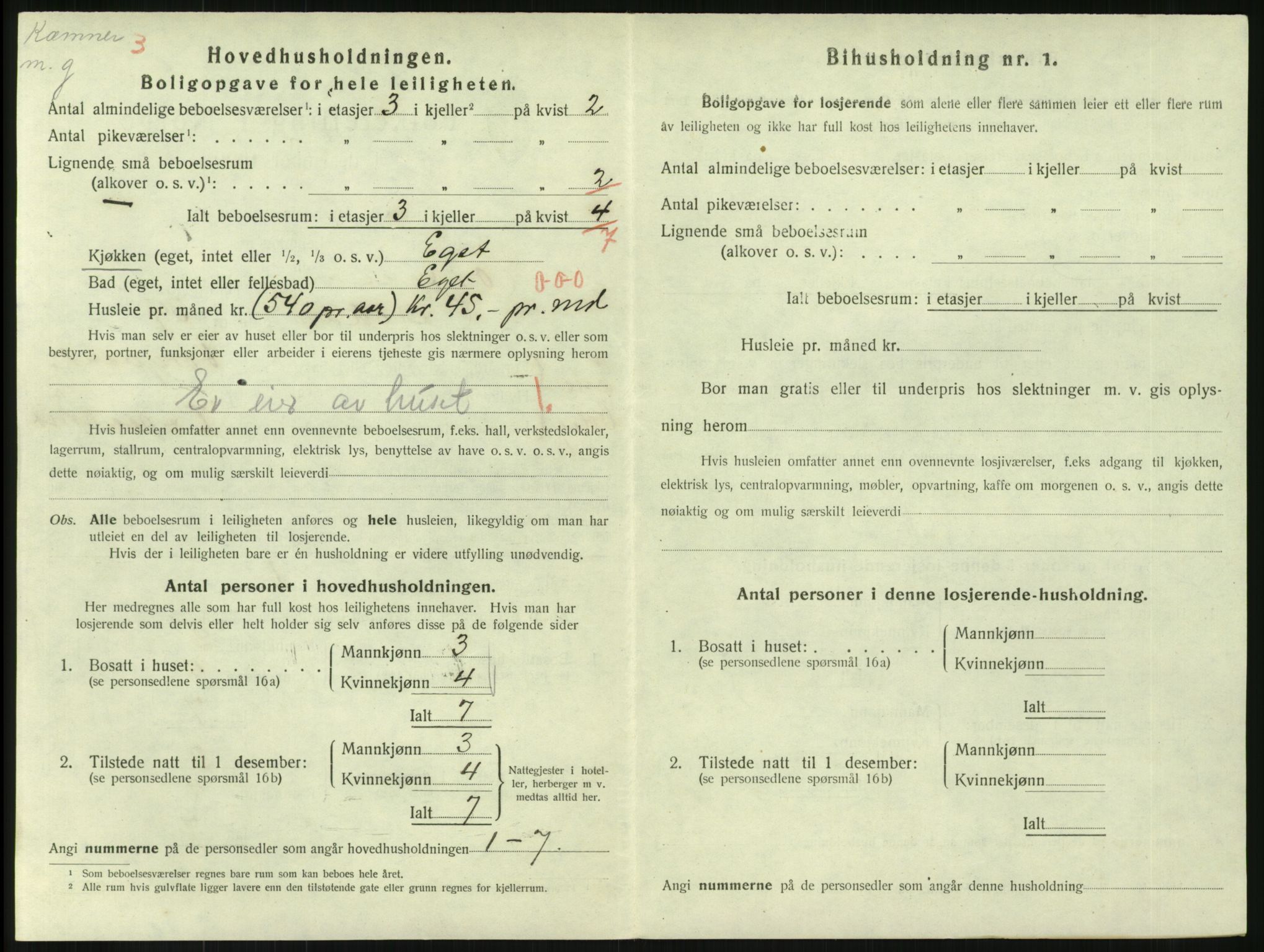 SAKO, 1920 census for Horten, 1920, p. 4010