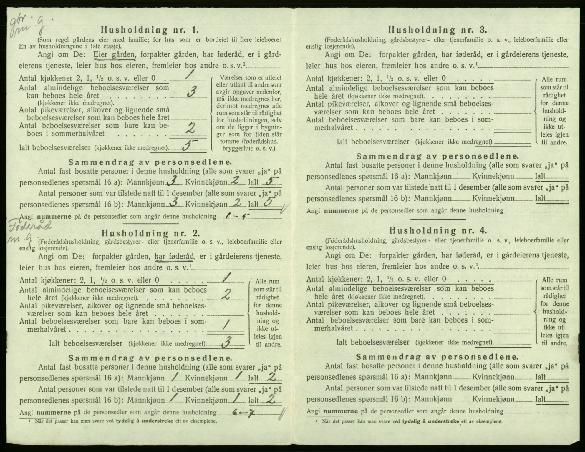 SAB, 1920 census for Kinsarvik, 1920, p. 300