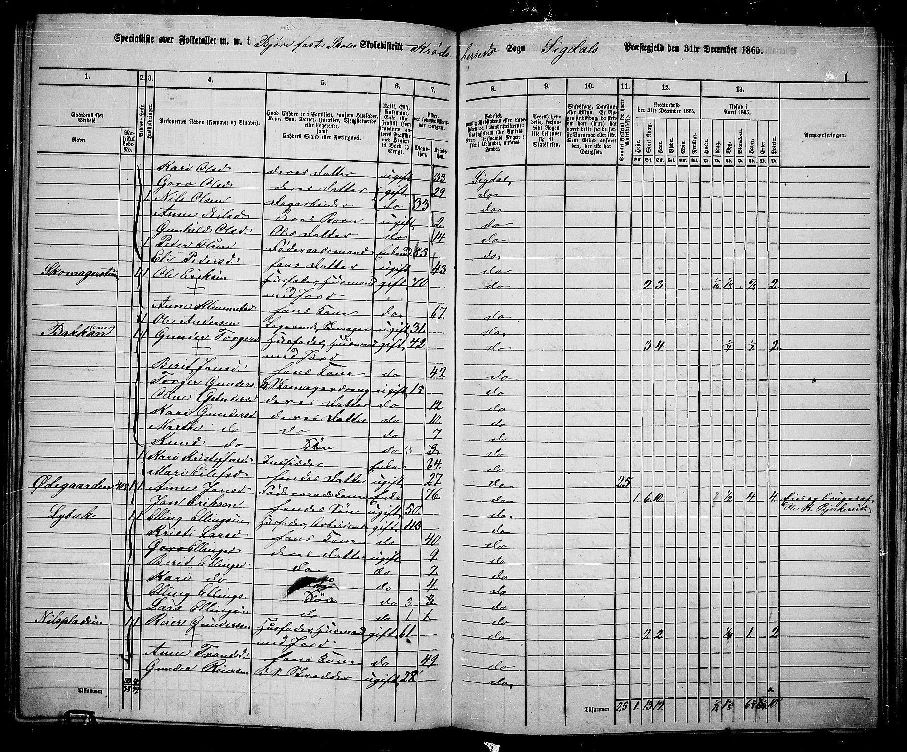 RA, 1865 census for Sigdal, 1865, p. 235