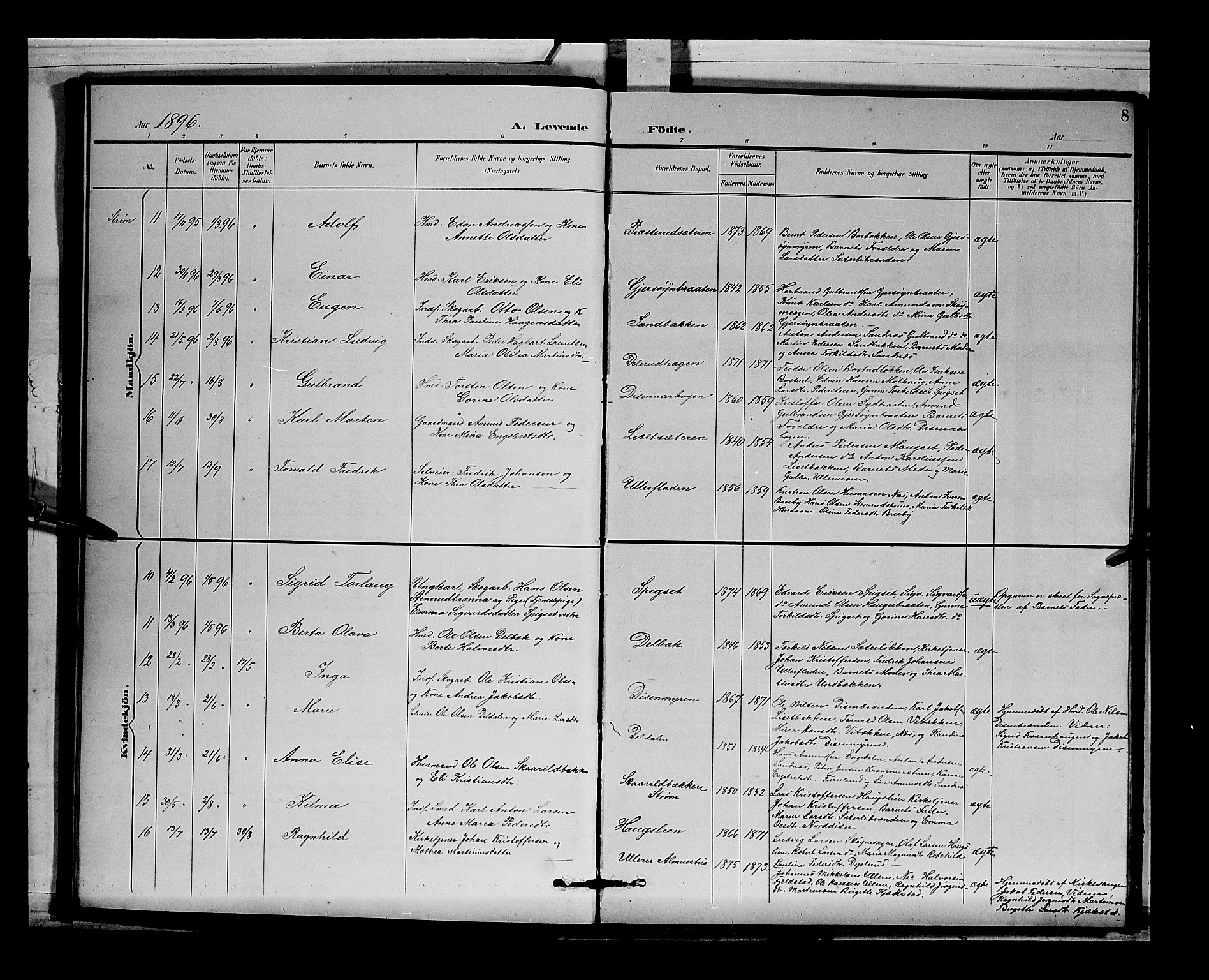 Sør-Odal prestekontor, SAH/PREST-030/H/Ha/Hab/L0004: Parish register (copy) no. 4, 1895-1906, p. 8