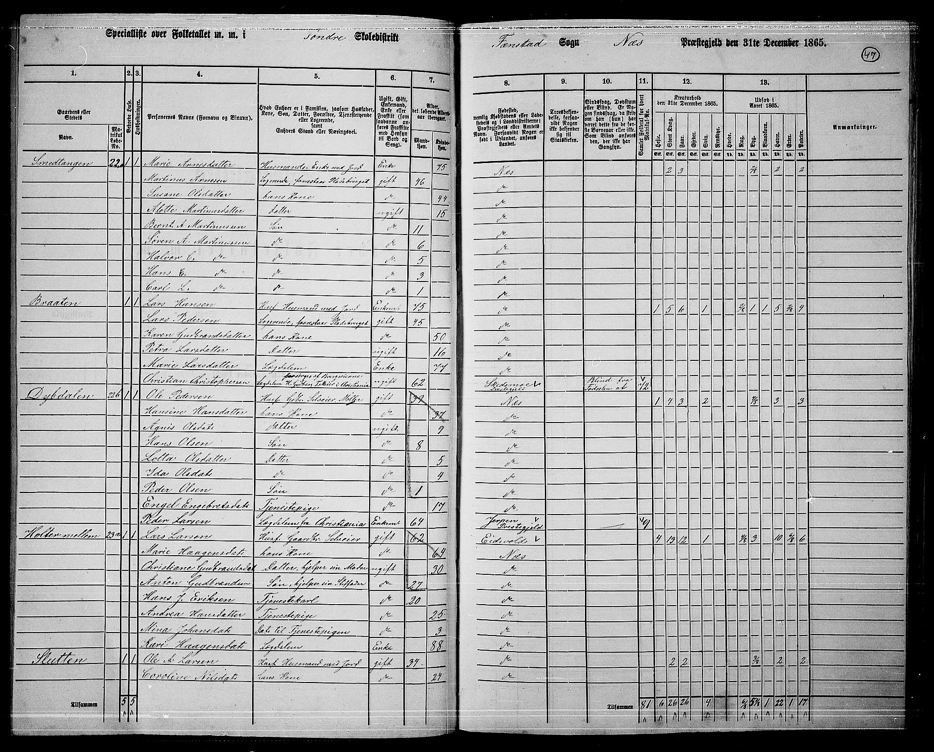 RA, 1865 census for Nes, 1865, p. 44