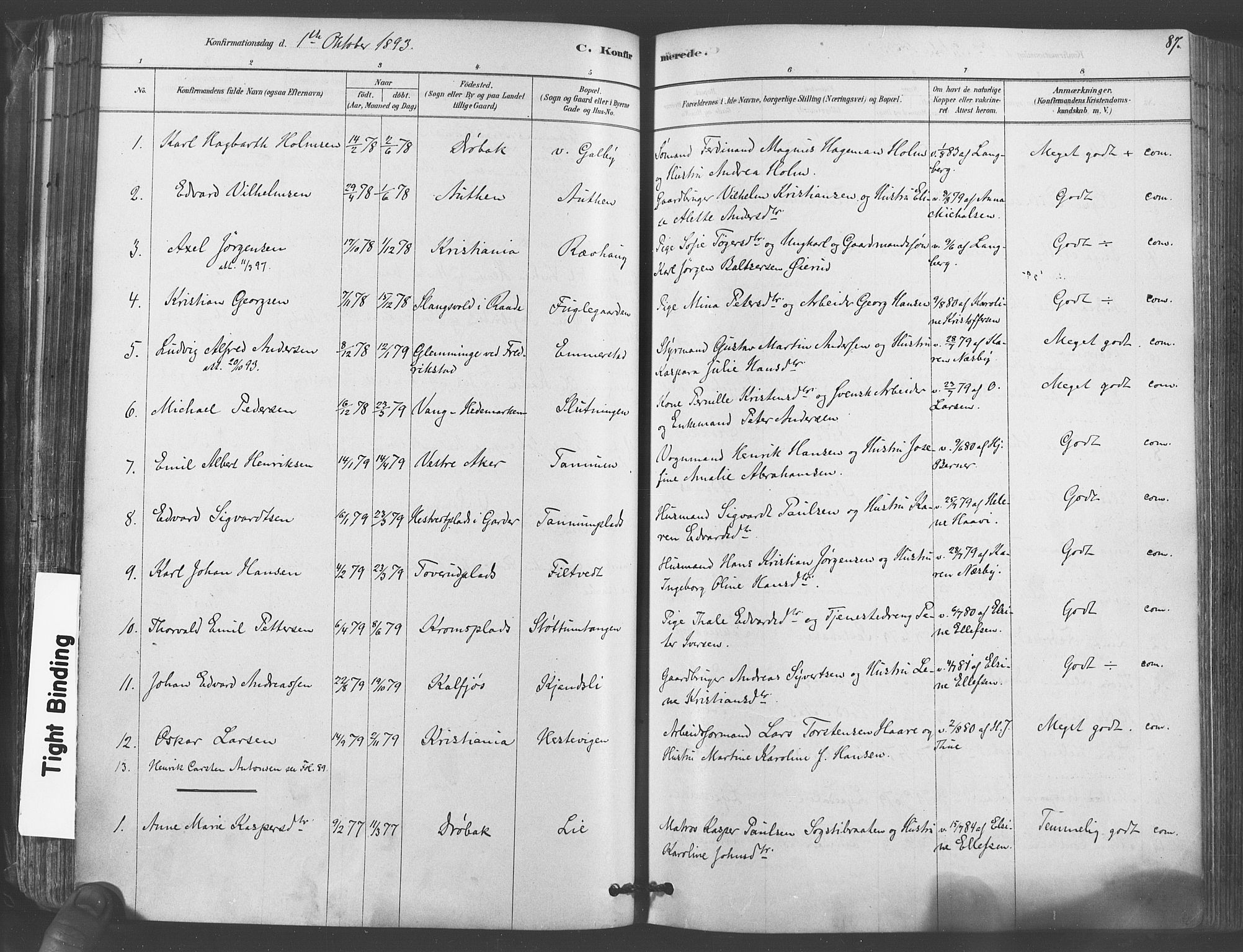 Vestby prestekontor Kirkebøker, AV/SAO-A-10893/F/Fa/L0009: Parish register (official) no. I 9, 1878-1900, p. 87