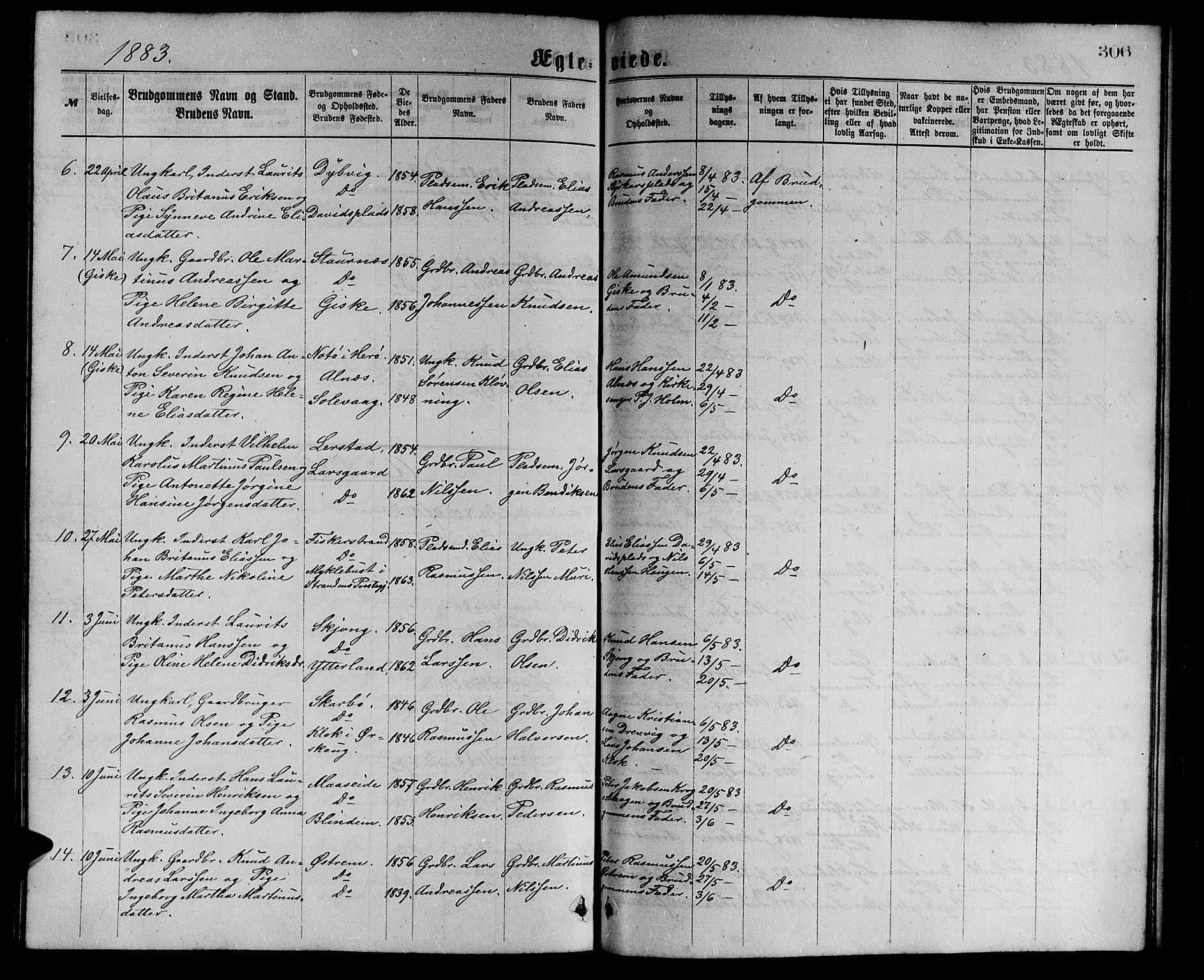 Ministerialprotokoller, klokkerbøker og fødselsregistre - Møre og Romsdal, AV/SAT-A-1454/528/L0429: Parish register (copy) no. 528C10, 1872-1886, p. 306