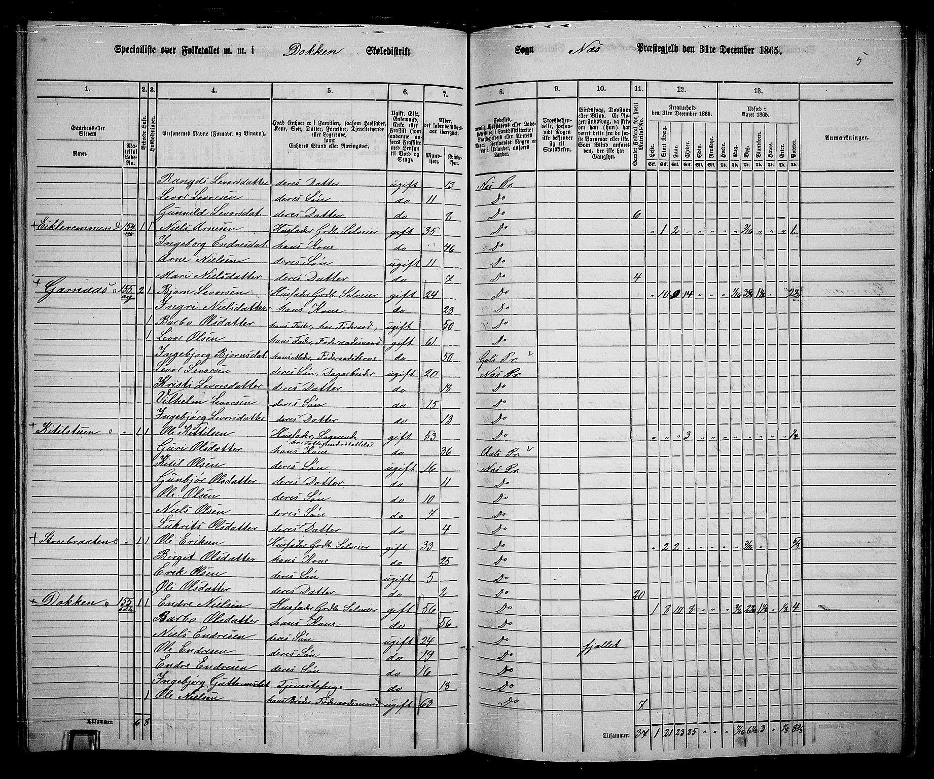 RA, 1865 census for Nes, 1865, p. 144