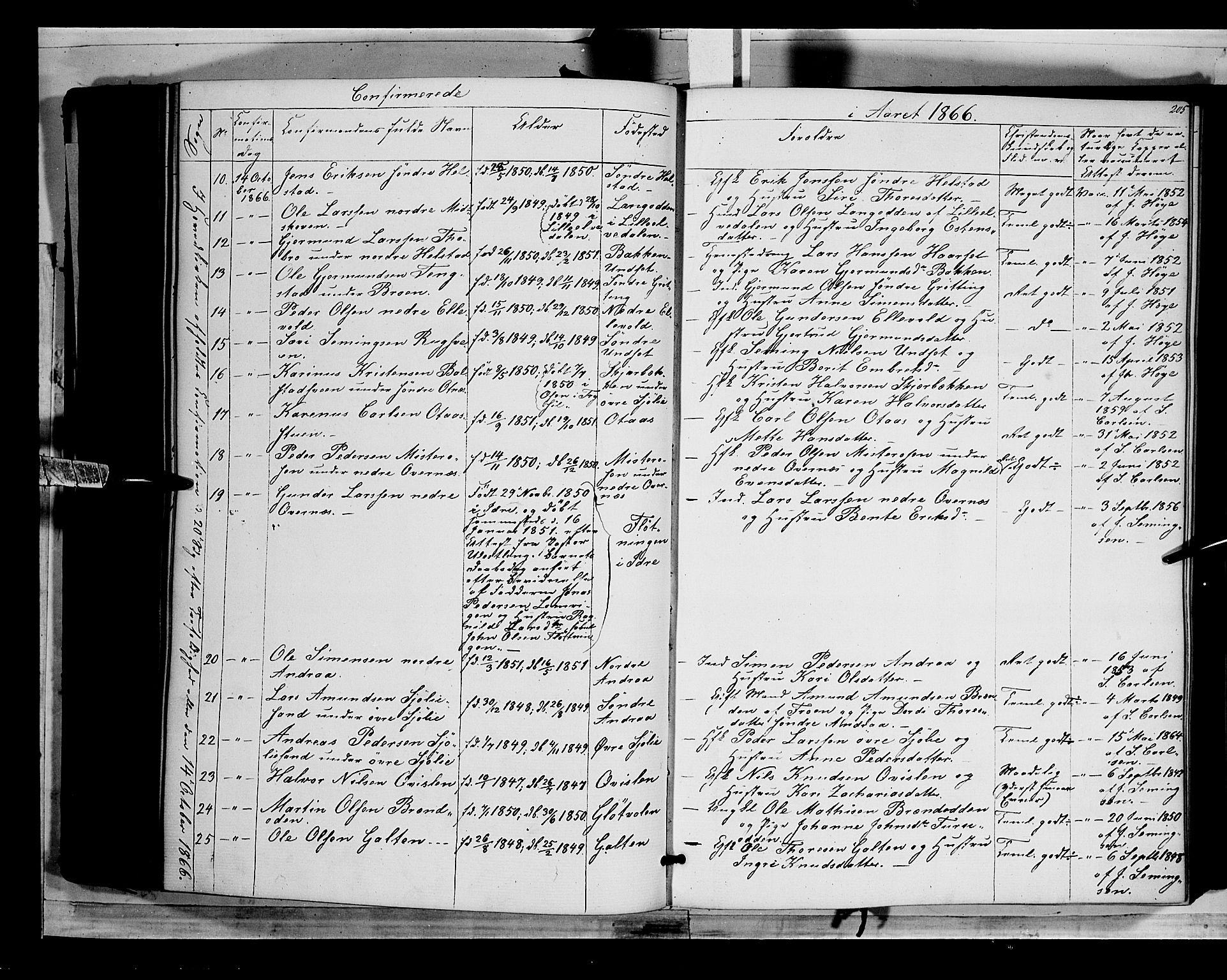 Rendalen prestekontor, SAH/PREST-054/H/Ha/Haa/L0005: Parish register (official) no. 5, 1853-1866, p. 205