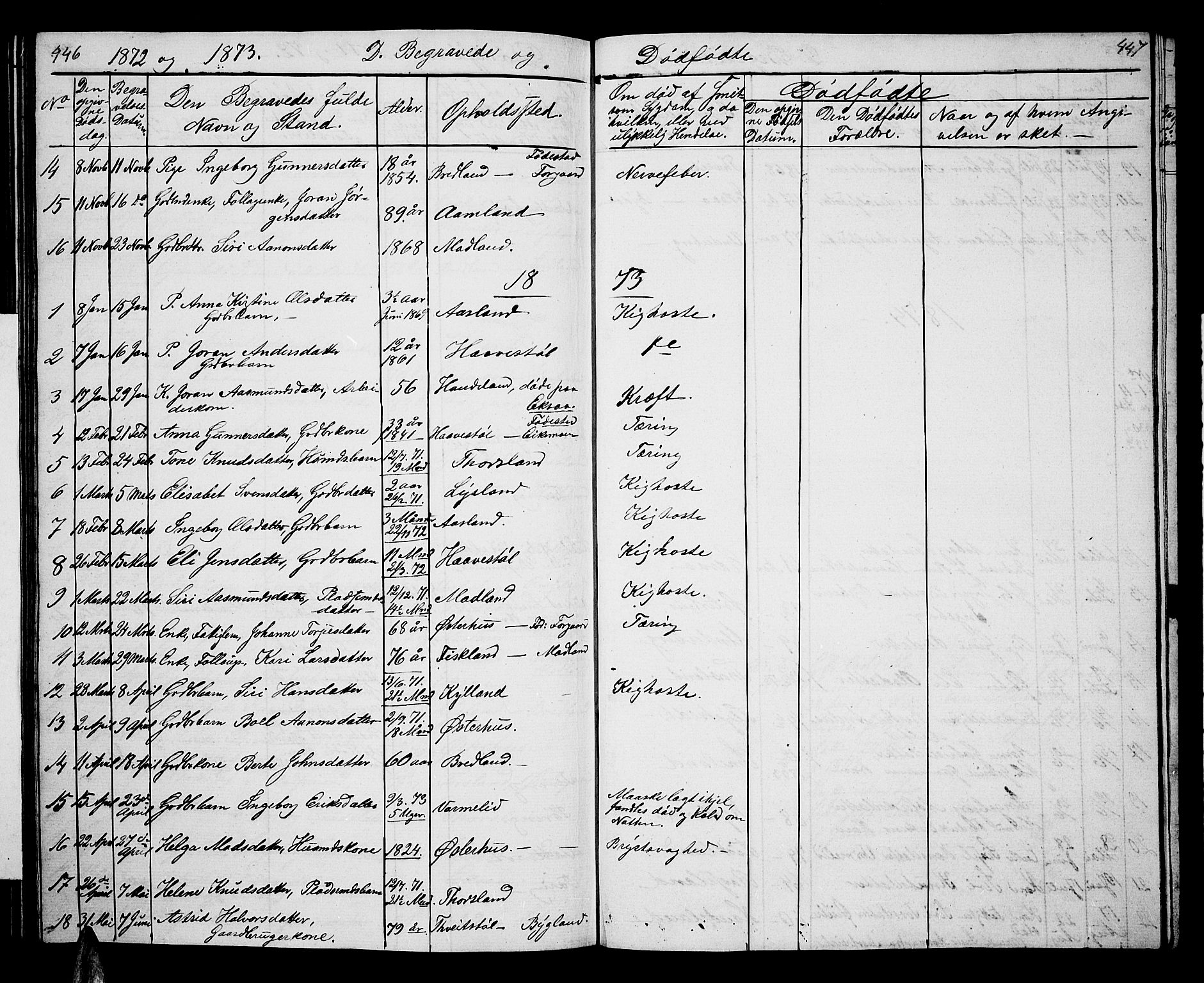 Åseral sokneprestkontor, SAK/1111-0051/F/Fb/L0001: Parish register (copy) no. B 1, 1856-1877, p. 446-447