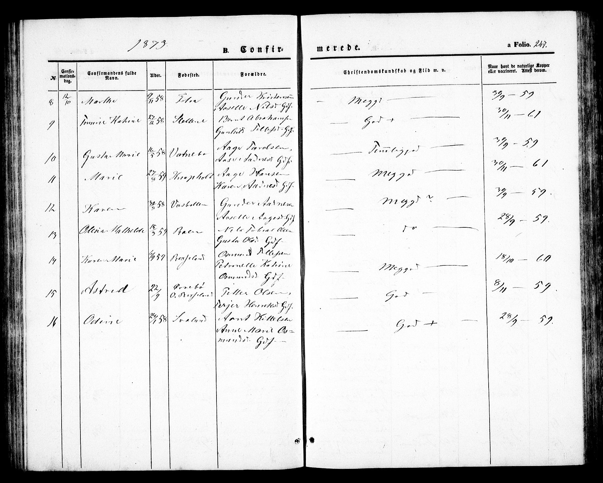 Birkenes sokneprestkontor, SAK/1111-0004/F/Fb/L0002: Parish register (copy) no. B 2, 1849-1876, p. 247