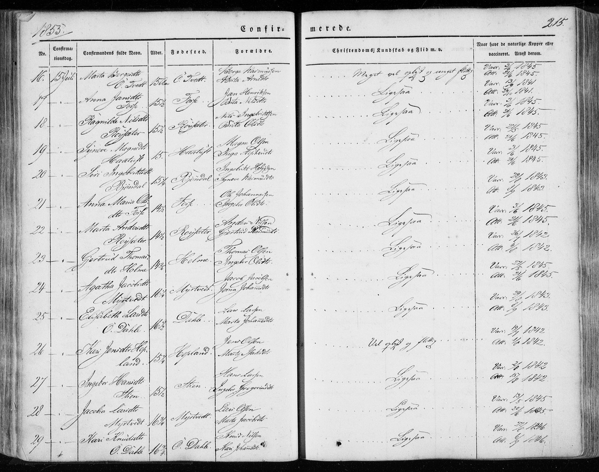 Hamre sokneprestembete, AV/SAB-A-75501/H/Ha/Haa/Haaa/L0013: Parish register (official) no. A 13, 1846-1857, p. 215