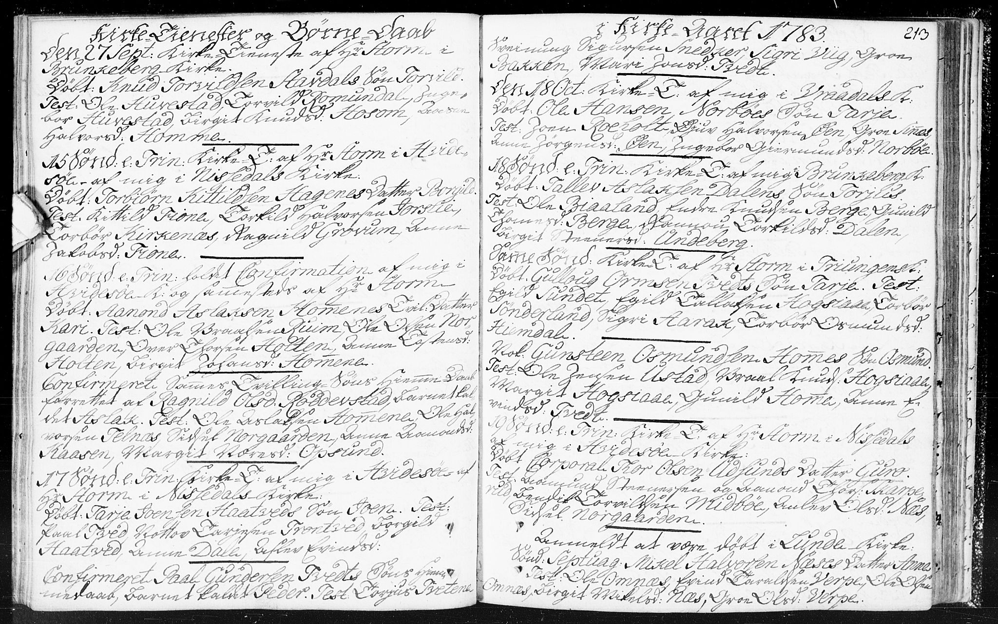 Kviteseid kirkebøker, SAKO/A-276/F/Fa/L0002: Parish register (official) no. I 2, 1773-1786, p. 213