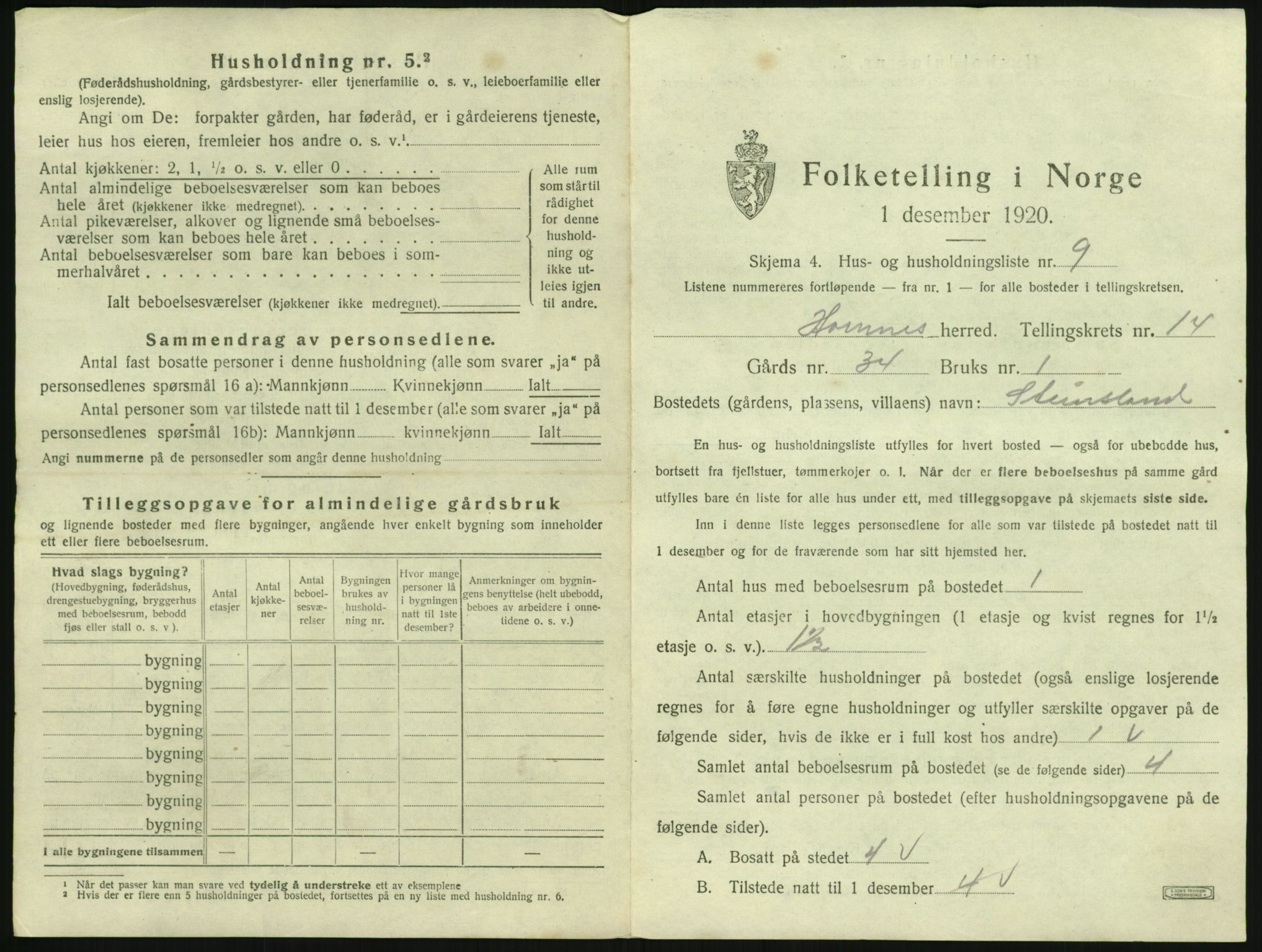 SAK, 1920 census for Hornnes, 1920, p. 555