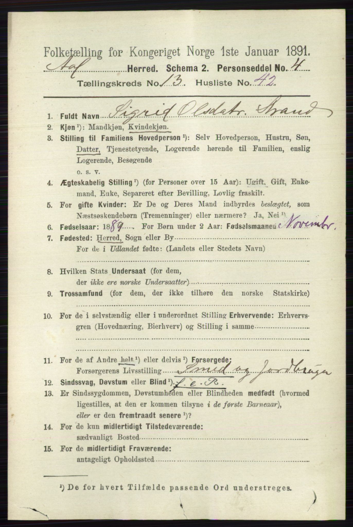 RA, 1891 census for 0619 Ål, 1891, p. 3497