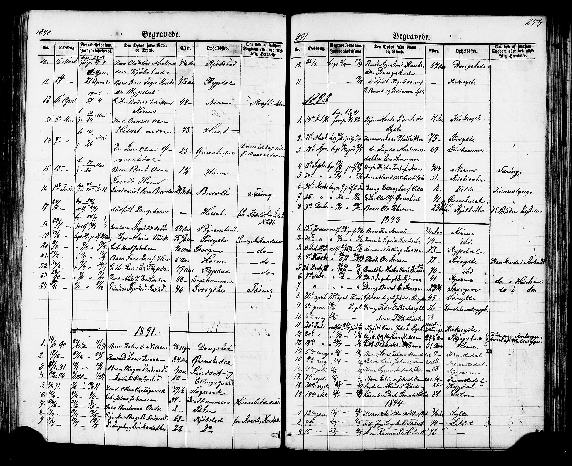 Ministerialprotokoller, klokkerbøker og fødselsregistre - Møre og Romsdal, SAT/A-1454/541/L0547: Parish register (copy) no. 541C02, 1867-1921, p. 254