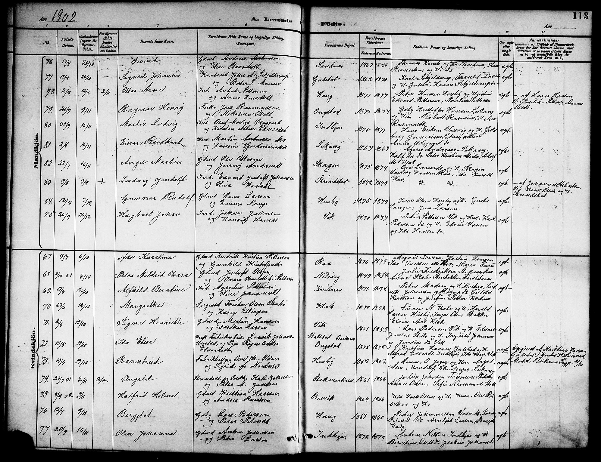 Ministerialprotokoller, klokkerbøker og fødselsregistre - Nordland, AV/SAT-A-1459/888/L1268: Parish register (copy) no. 888C06, 1891-1908, p. 113