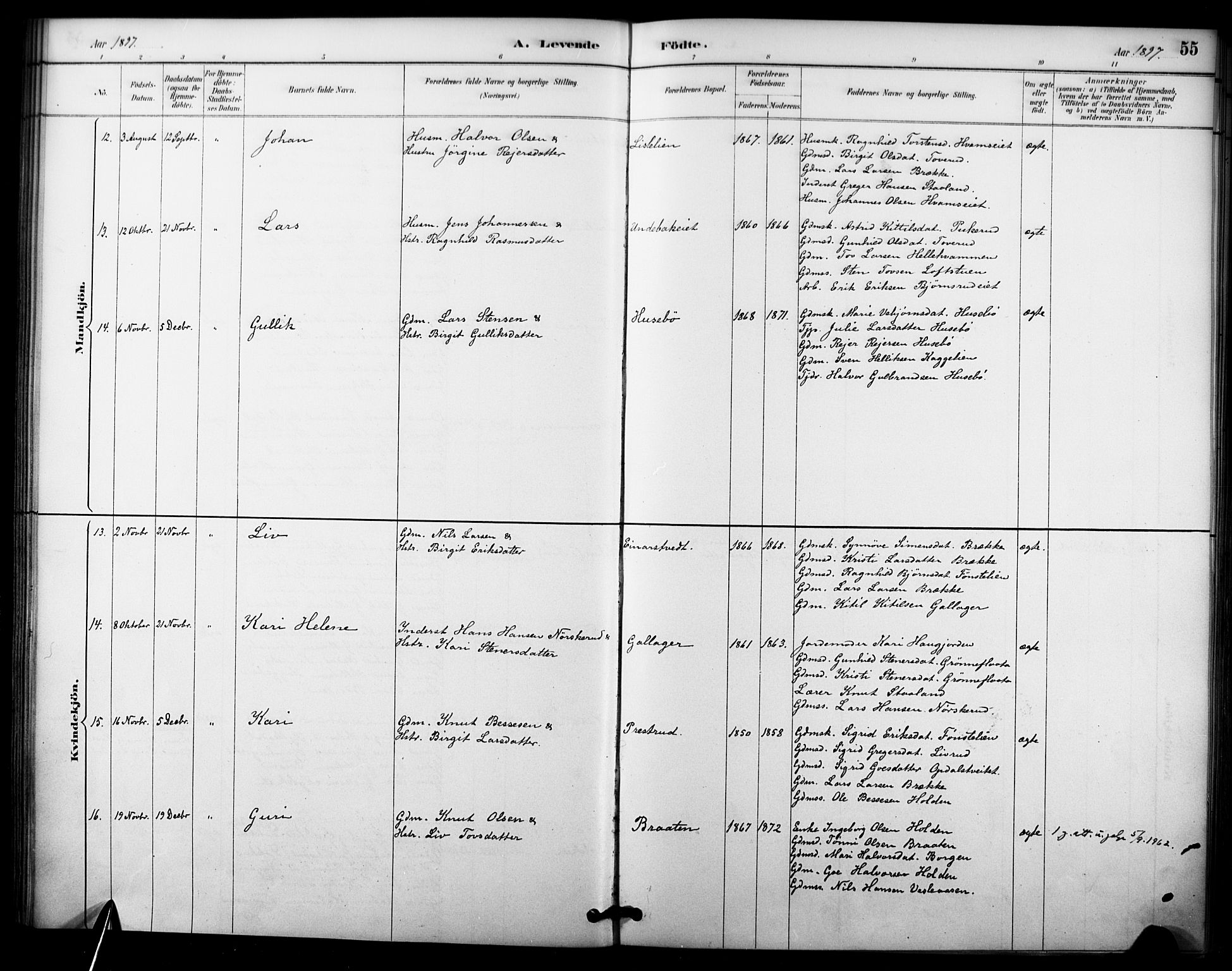 Nore kirkebøker, AV/SAKO-A-238/F/Fc/L0004: Parish register (official) no. III 4, 1885-1898, p. 55