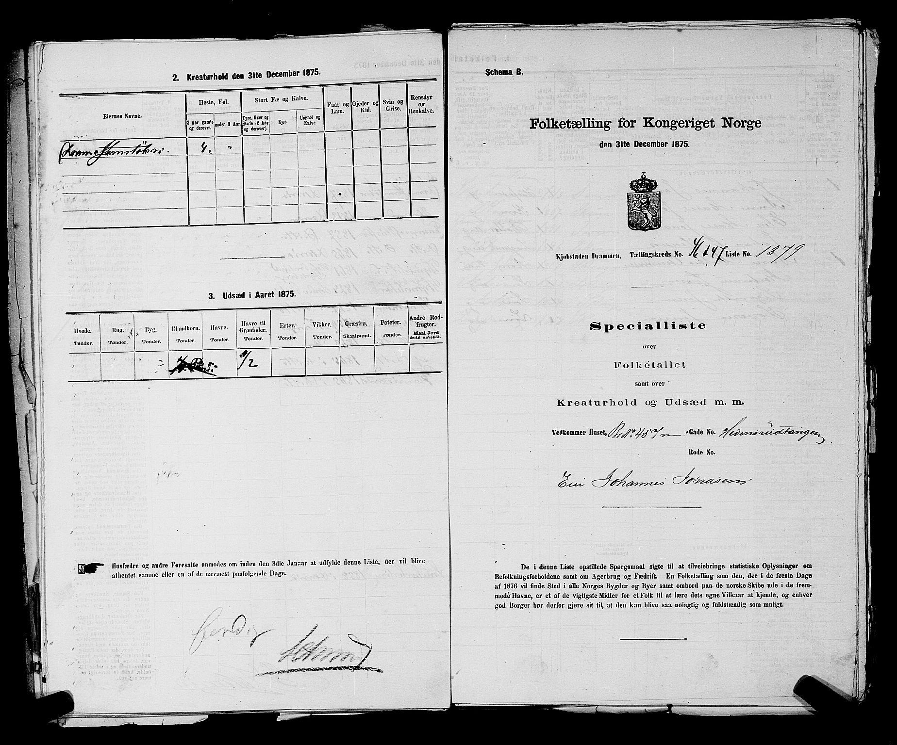 SAKO, 1875 census for 0602 Drammen, 1875, p. 3700