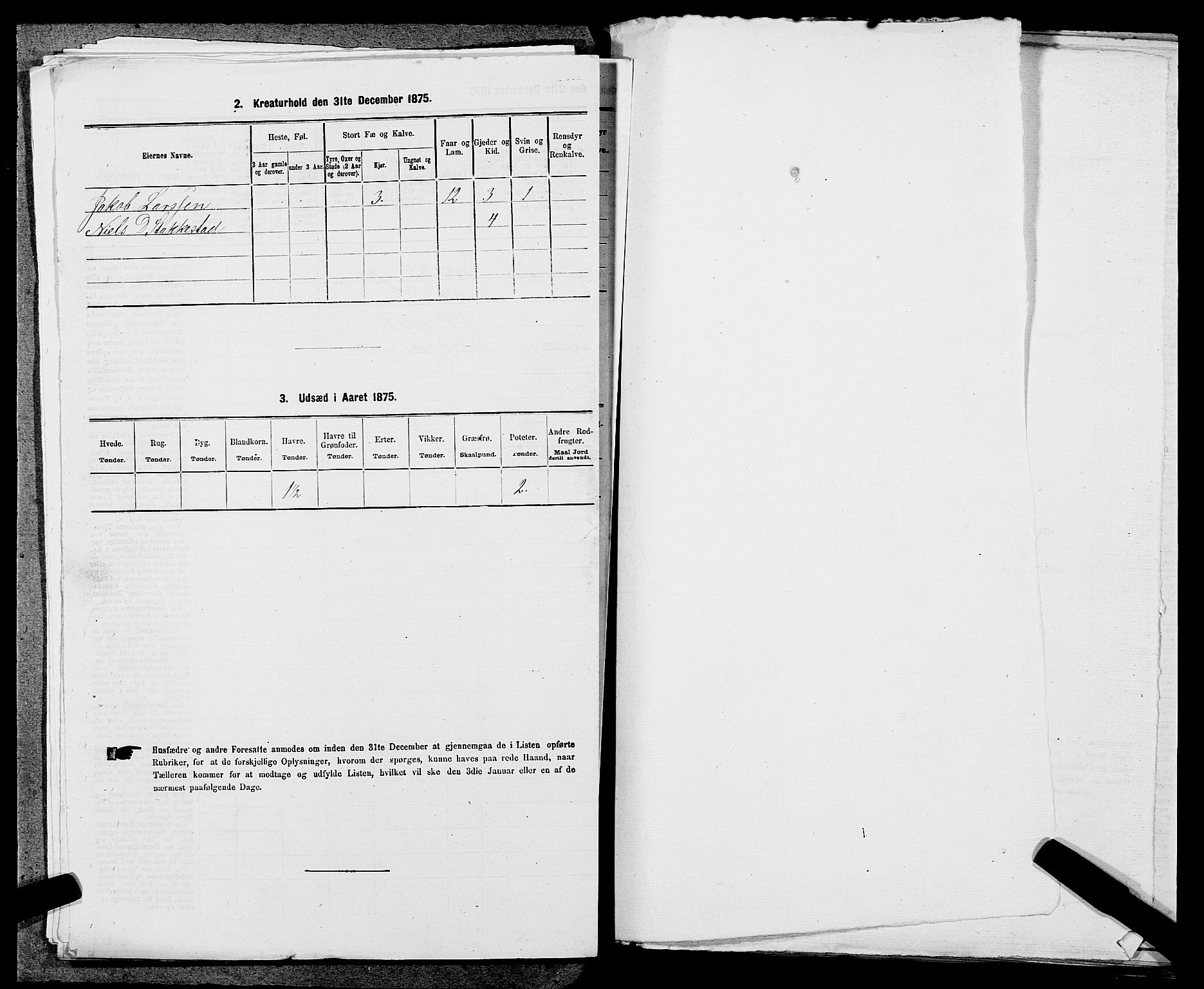 SAST, 1875 census for 1154P Skjold, 1875, p. 383