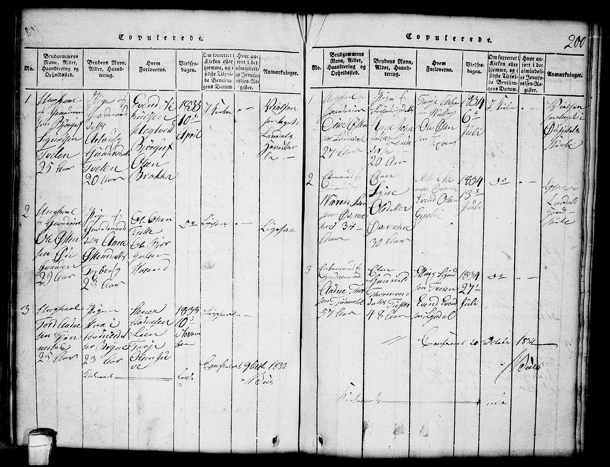 Lårdal kirkebøker, SAKO/A-284/G/Gc/L0001: Parish register (copy) no. III 1, 1815-1854, p. 200