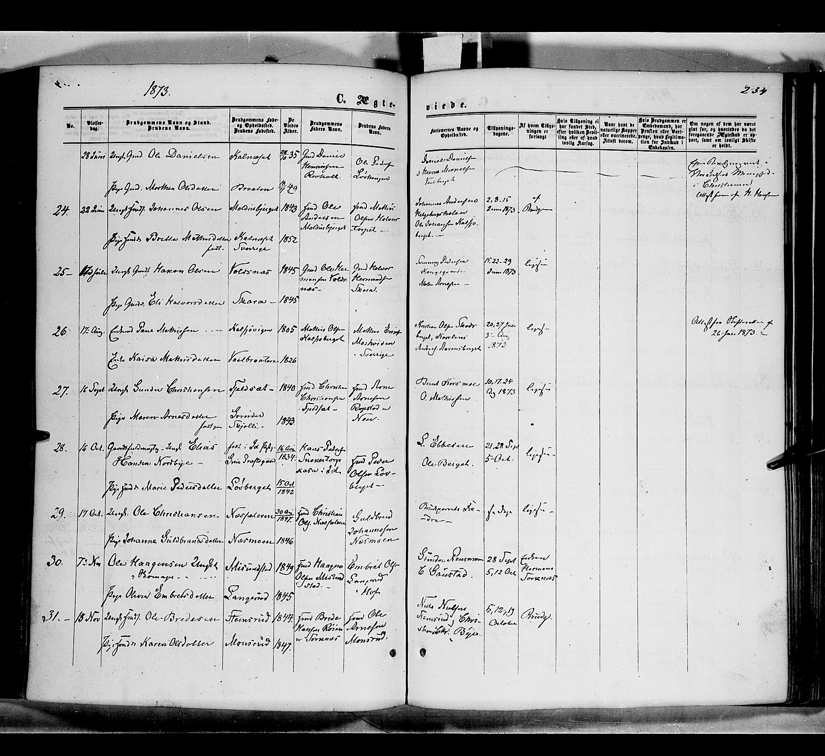 Grue prestekontor, AV/SAH-PREST-036/H/Ha/Haa/L0010: Parish register (official) no. 10, 1864-1873, p. 234