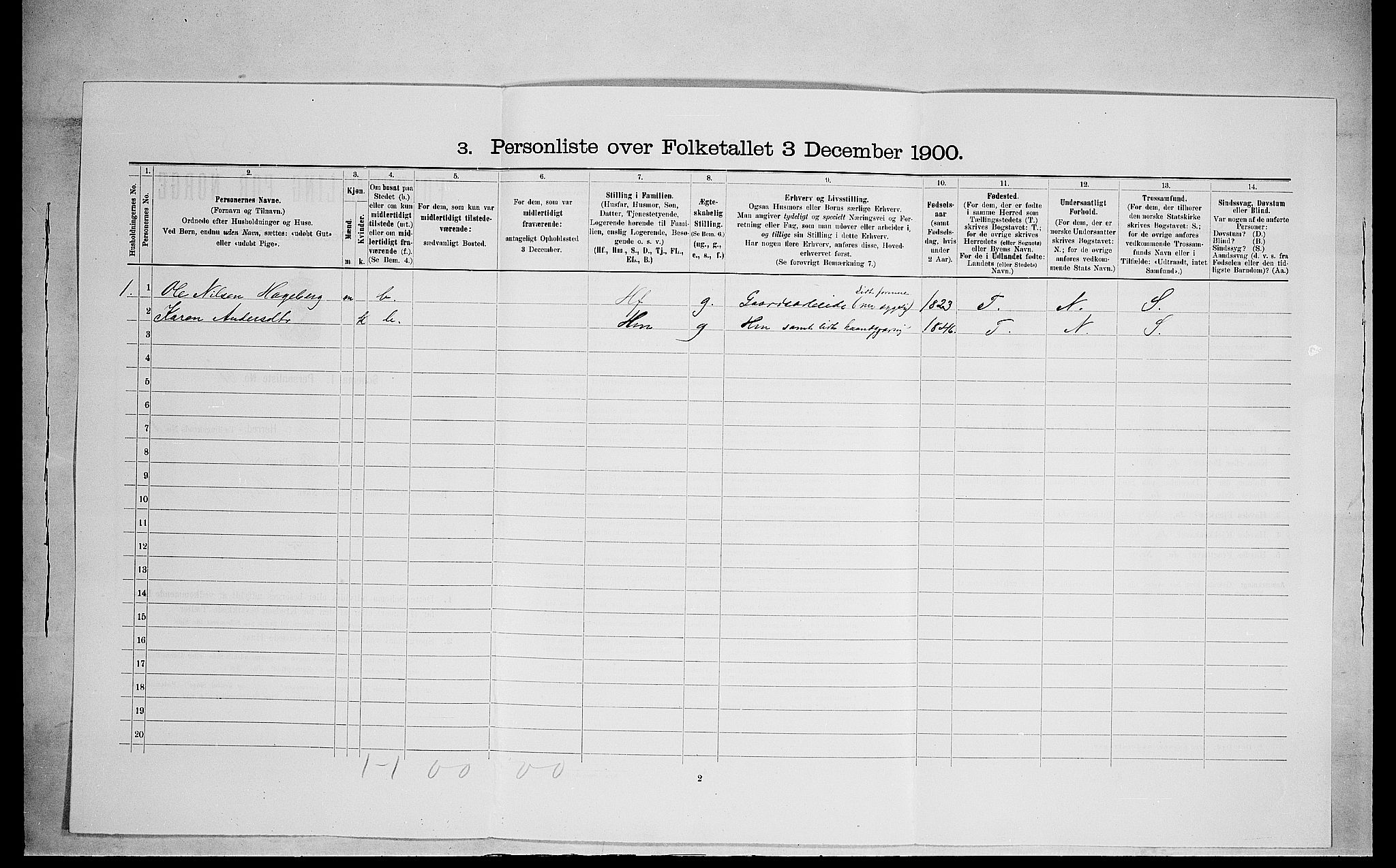 SAH, 1900 census for Ringsaker, 1900, p. 1595