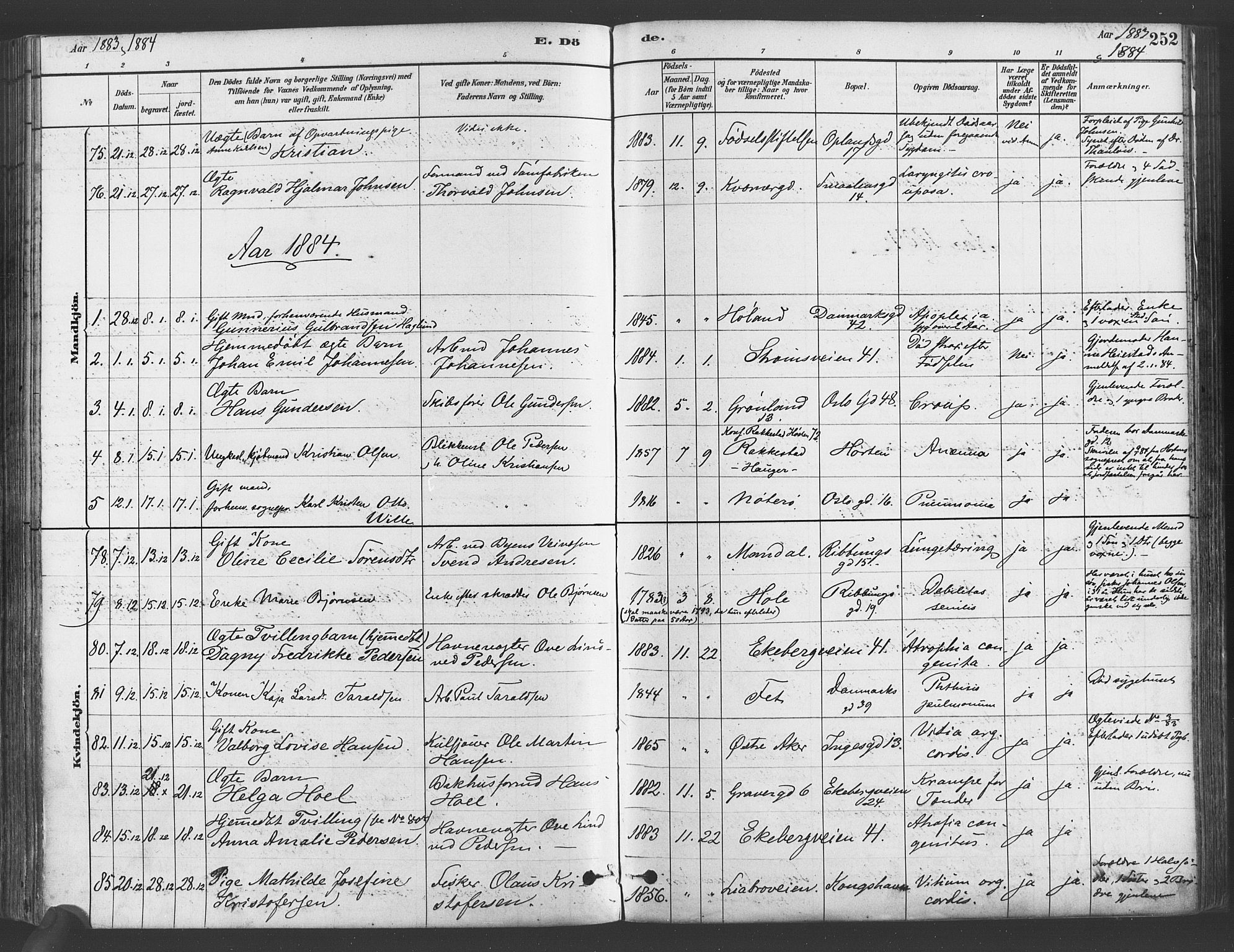 Gamlebyen prestekontor Kirkebøker, SAO/A-10884/F/Fa/L0006: Parish register (official) no. 6, 1881-1890, p. 252
