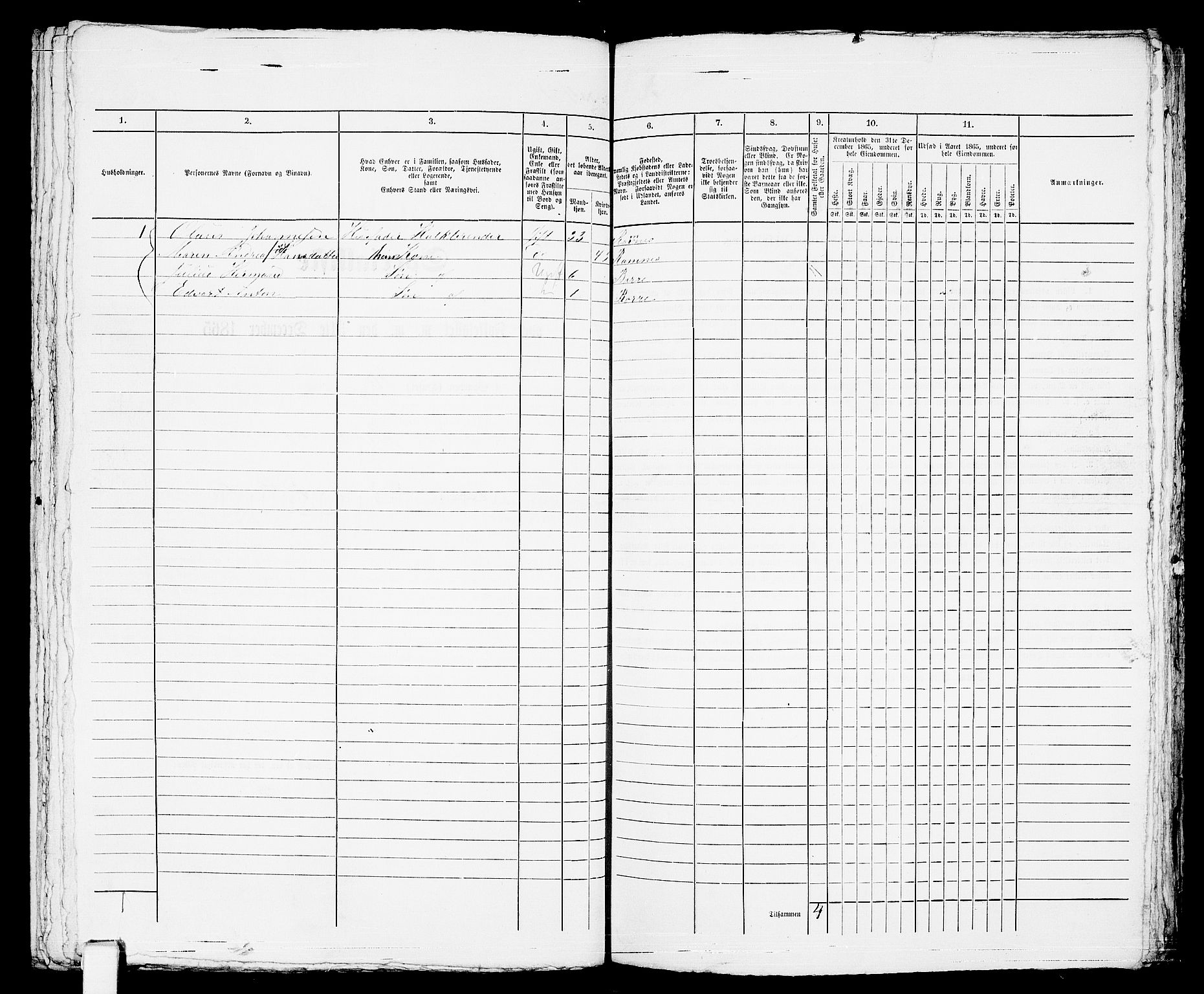 RA, 1865 census for Horten, 1865, p. 1006