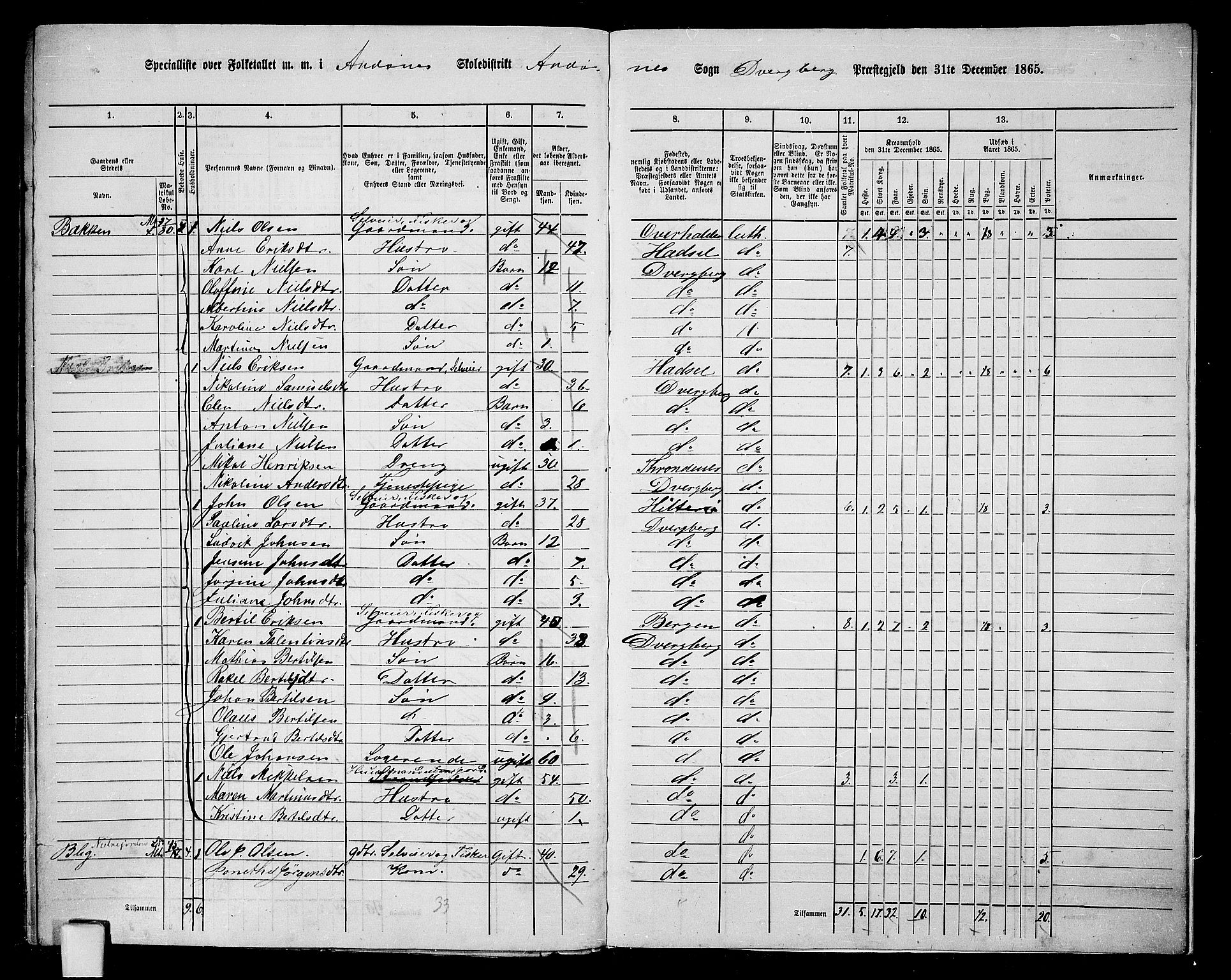 RA, 1865 census for Dverberg, 1865, p. 63