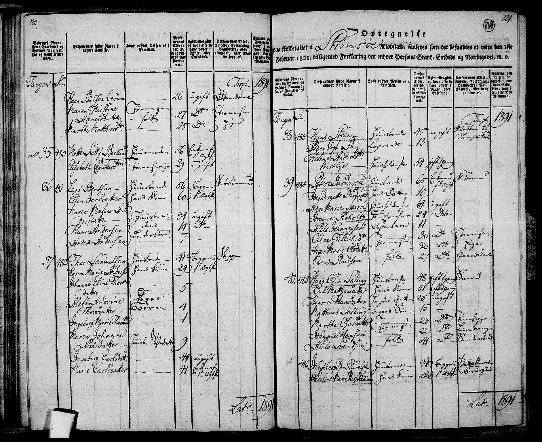 RA, 1801 census for 0602P Bragernes, 1801, p. 868b-869a