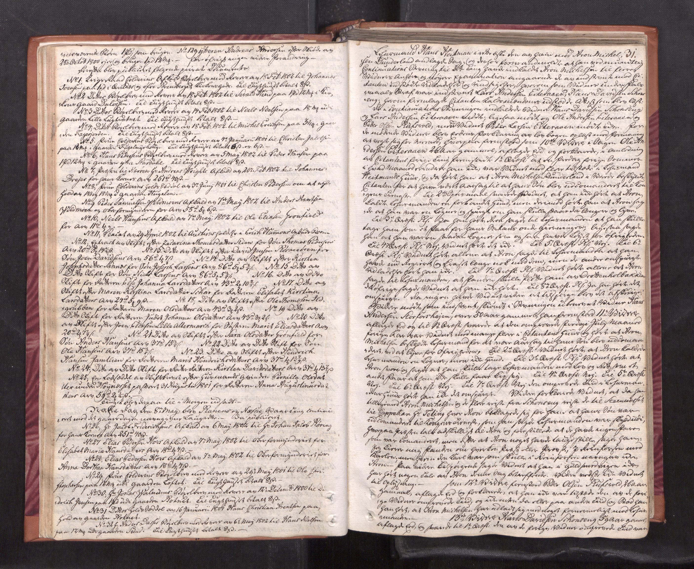 Helgeland sorenskriveri, AV/SAT-A-0004/1/1A/L0036: Tingbok 26A, 1801-1806, p. 30b-31a