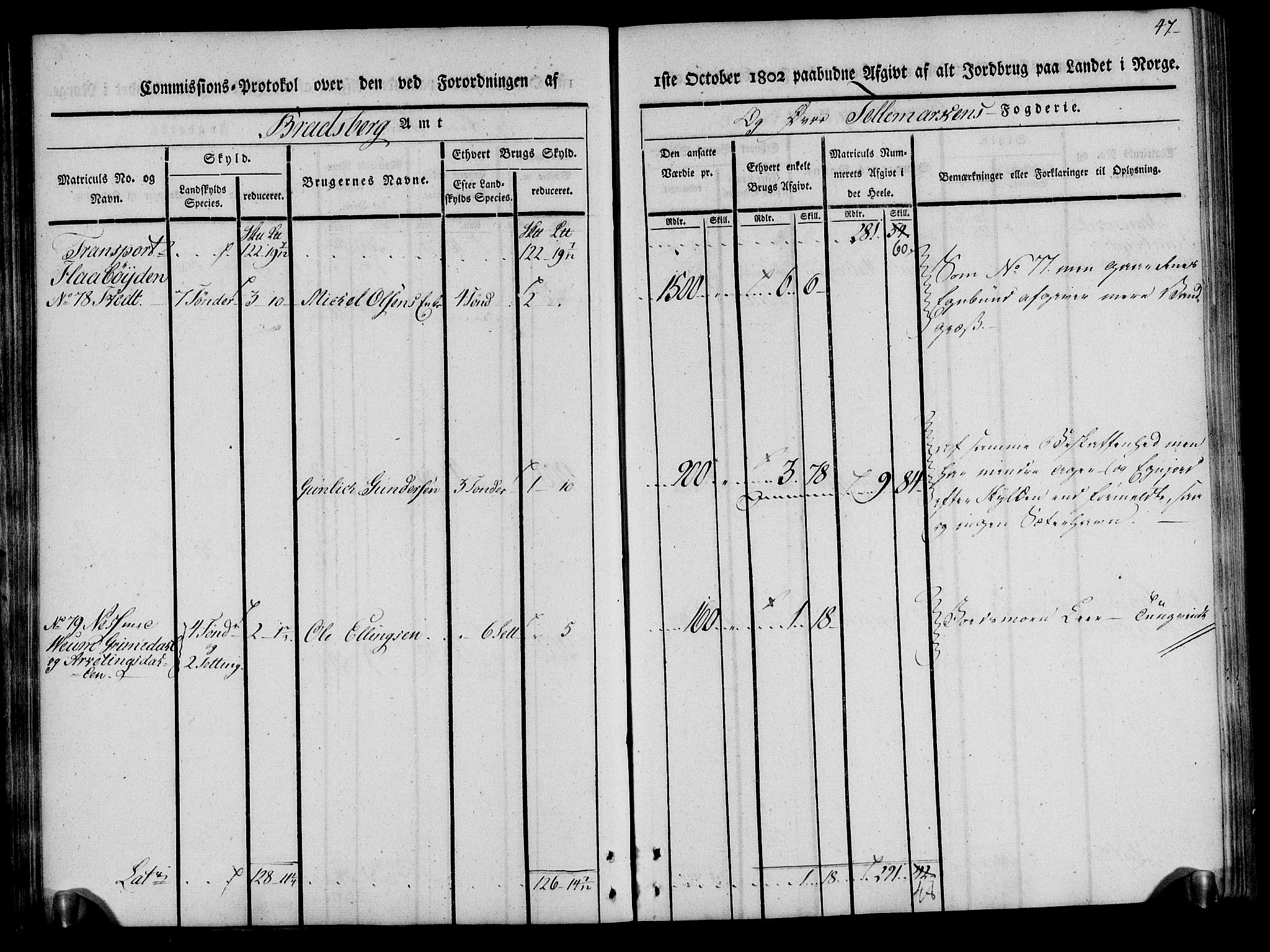 Rentekammeret inntil 1814, Realistisk ordnet avdeling, RA/EA-4070/N/Ne/Nea/L0075: Øvre Telemarken fogderi. Kommisjonsprotokoll for fogderiets vestre del - Kviteseid, Vinje, Moland [):Fyresdal] og Lårdal prestegjeld., 1803, p. 47