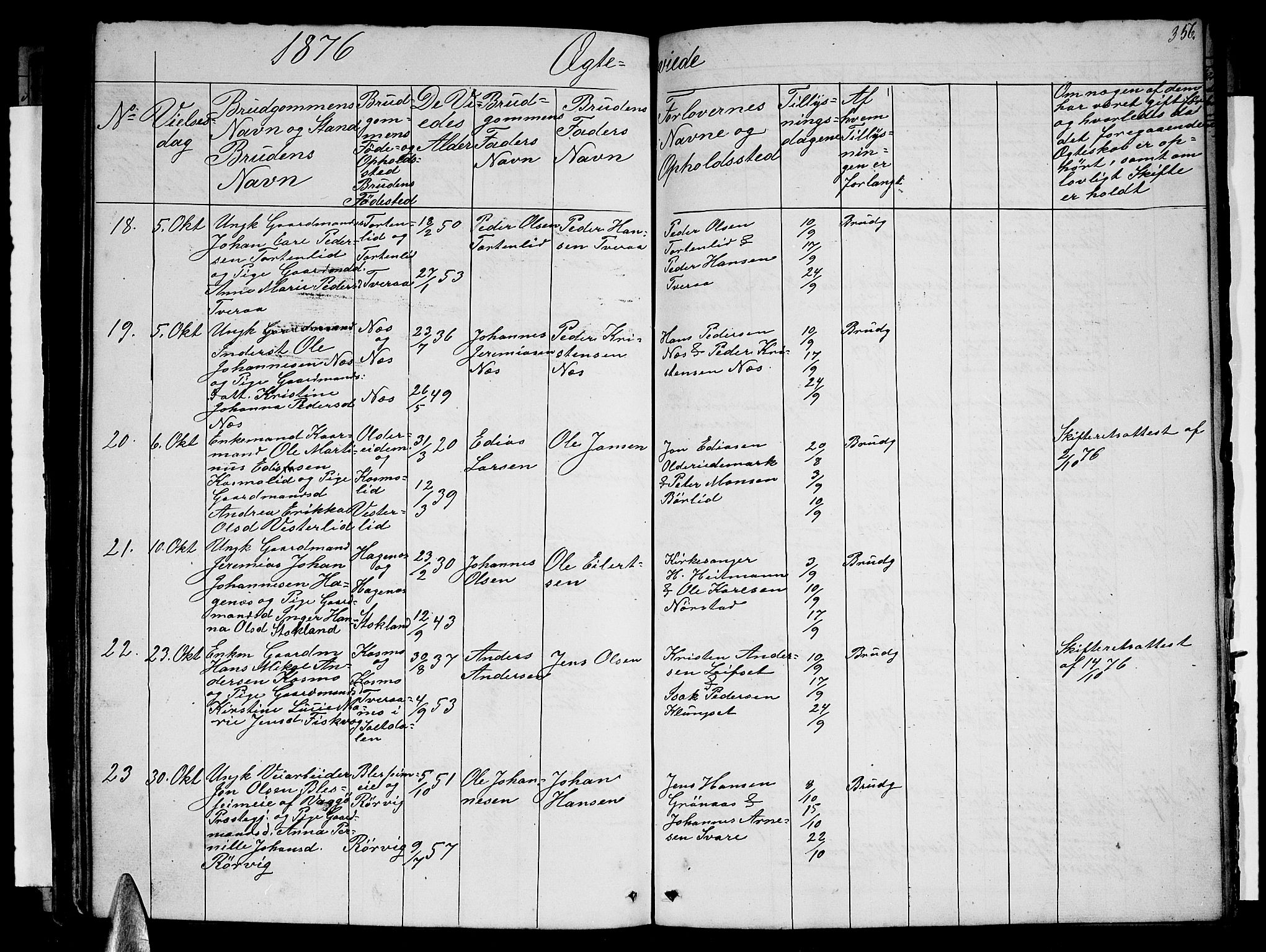 Ministerialprotokoller, klokkerbøker og fødselsregistre - Nordland, AV/SAT-A-1459/852/L0753: Parish register (copy) no. 852C04, 1856-1877, p. 356