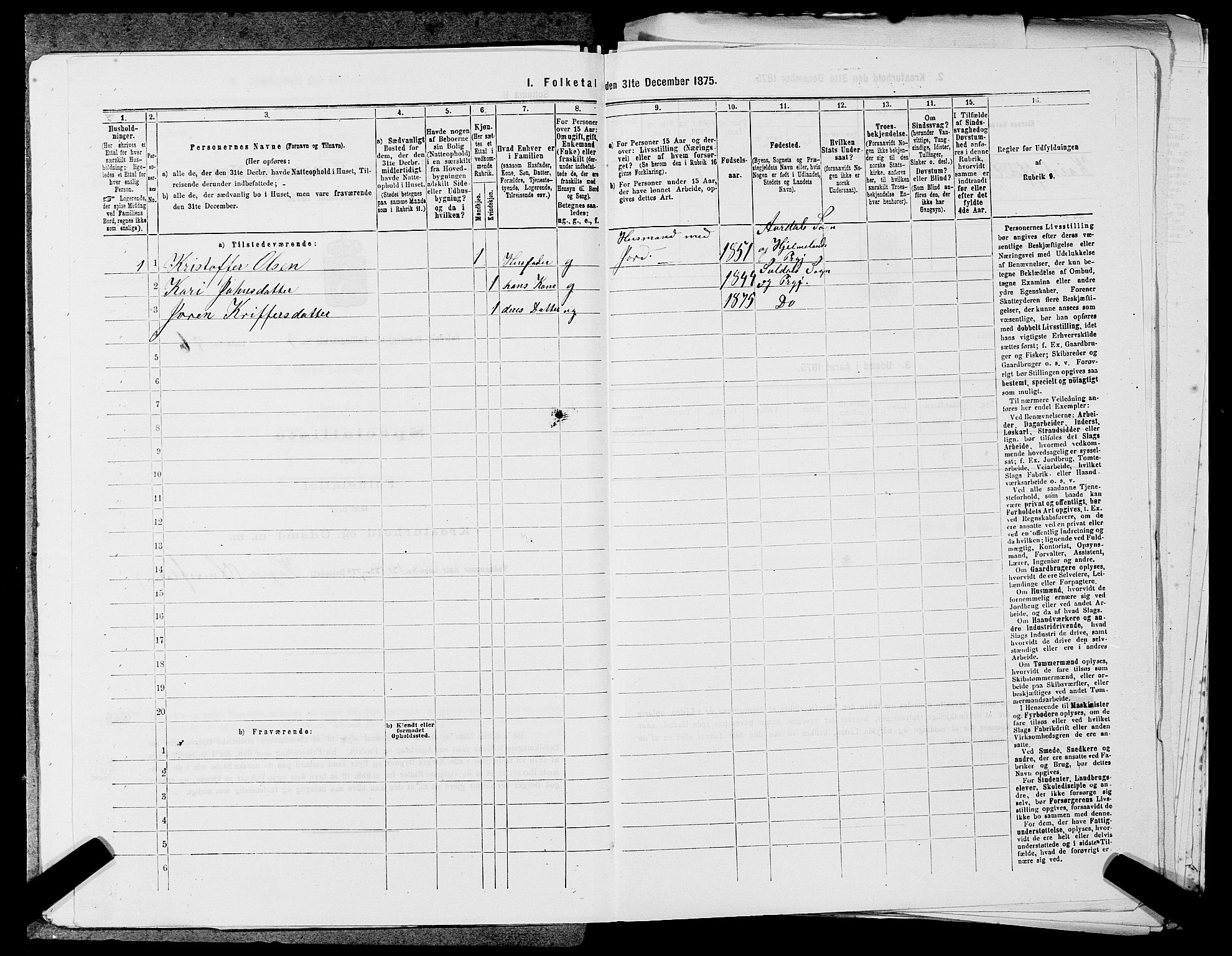 SAST, 1875 census for 1134P Suldal, 1875, p. 494