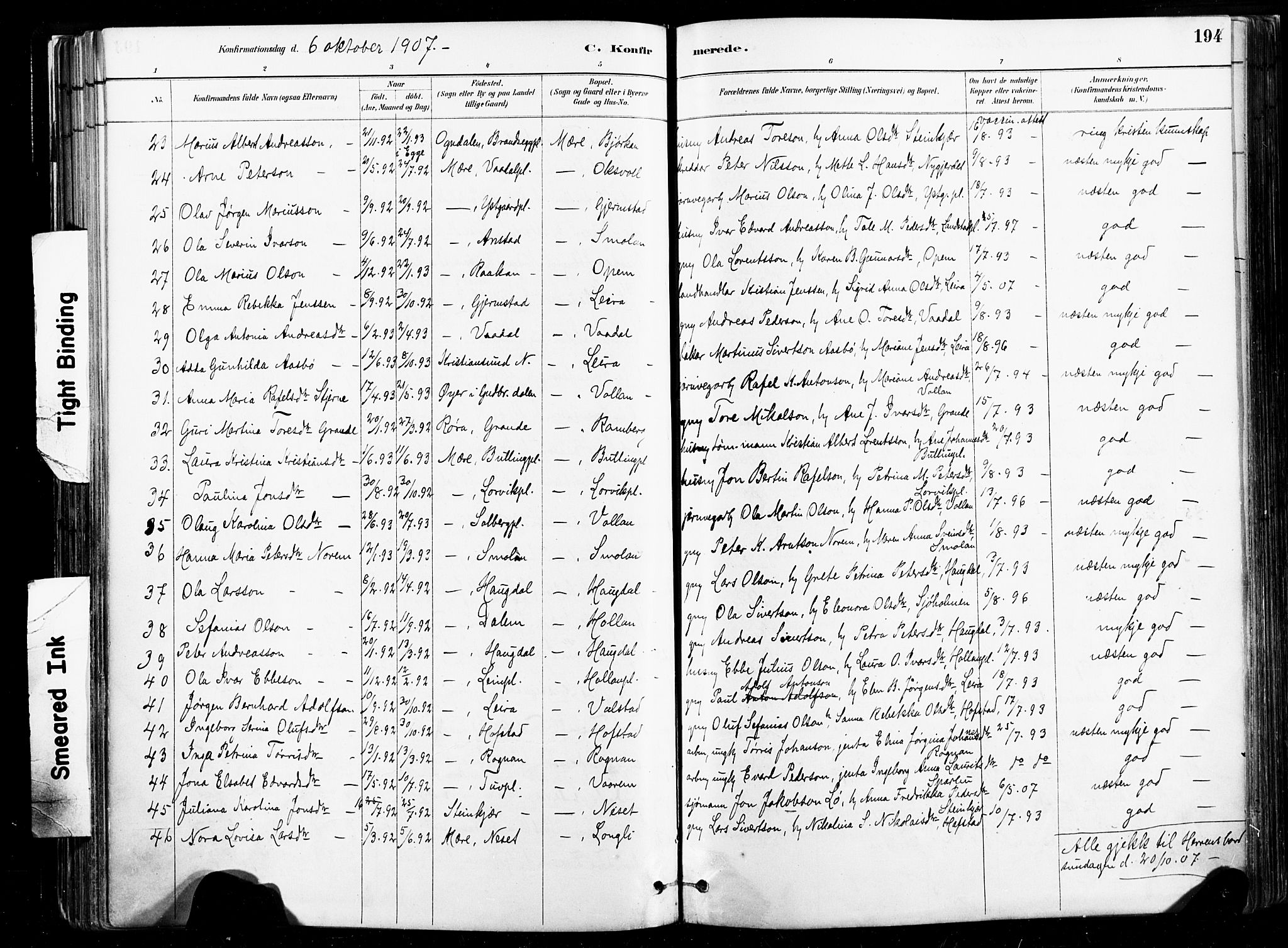 Ministerialprotokoller, klokkerbøker og fødselsregistre - Nord-Trøndelag, AV/SAT-A-1458/735/L0351: Parish register (official) no. 735A10, 1884-1908, p. 194