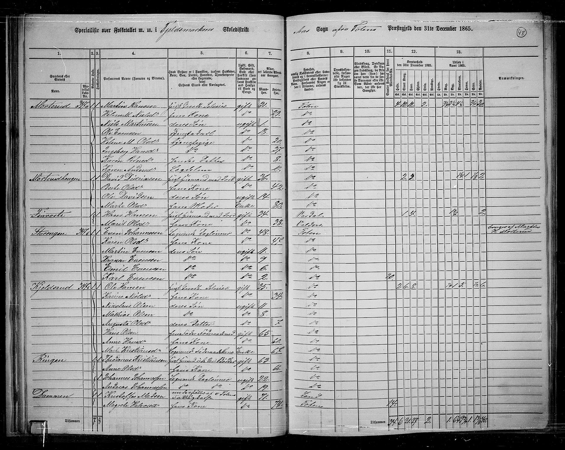 RA, 1865 census for Vestre Toten, 1865, p. 49