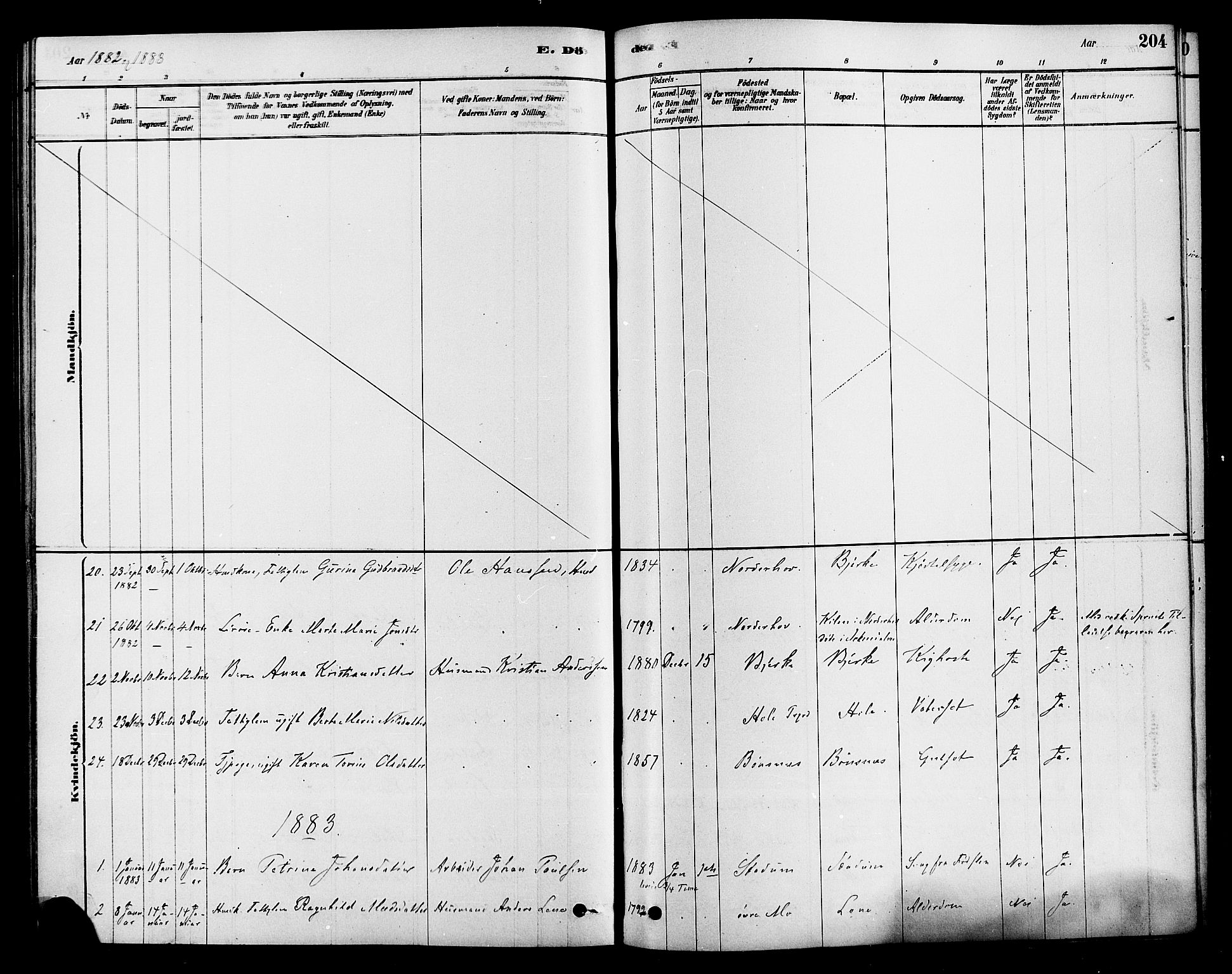 Hole kirkebøker, SAKO/A-228/F/Fa/L0008: Parish register (official) no. I 8, 1878-1891, p. 204