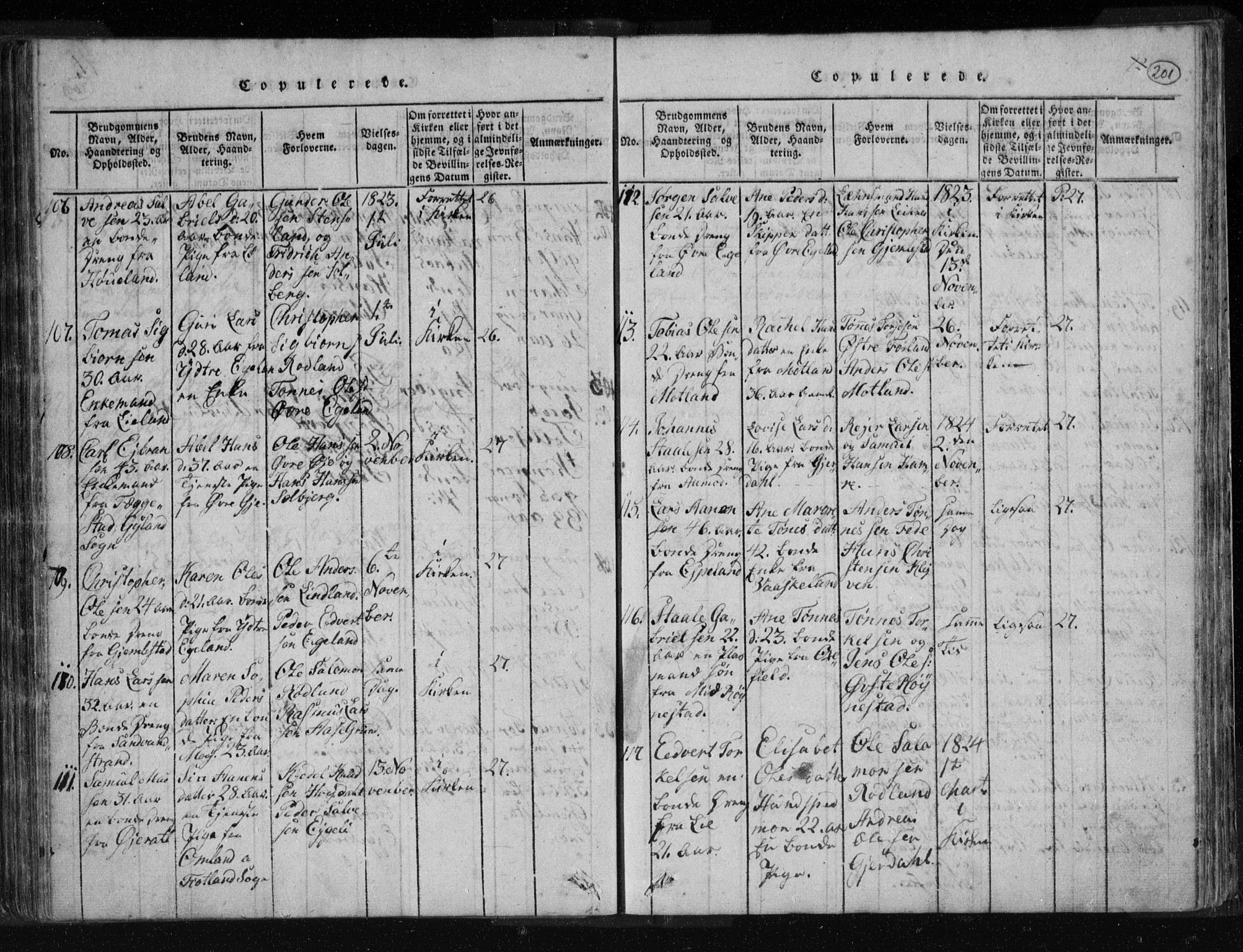 Kvinesdal sokneprestkontor, SAK/1111-0026/F/Fa/Fab/L0003: Parish register (official) no. A 3, 1815-1829, p. 201