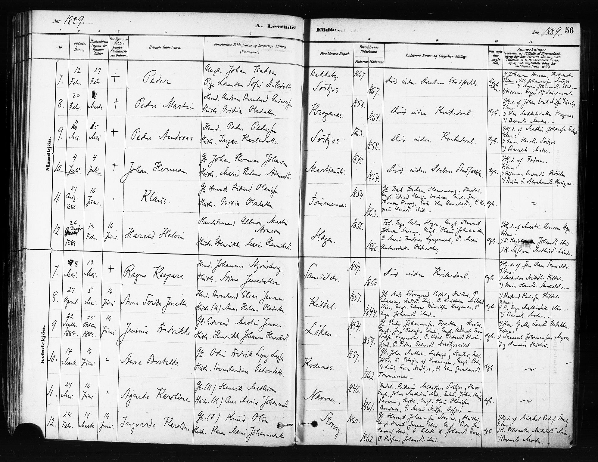 Skjervøy sokneprestkontor, AV/SATØ-S-1300/H/Ha/Haa/L0014kirke: Parish register (official) no. 14, 1878-1894, p. 56