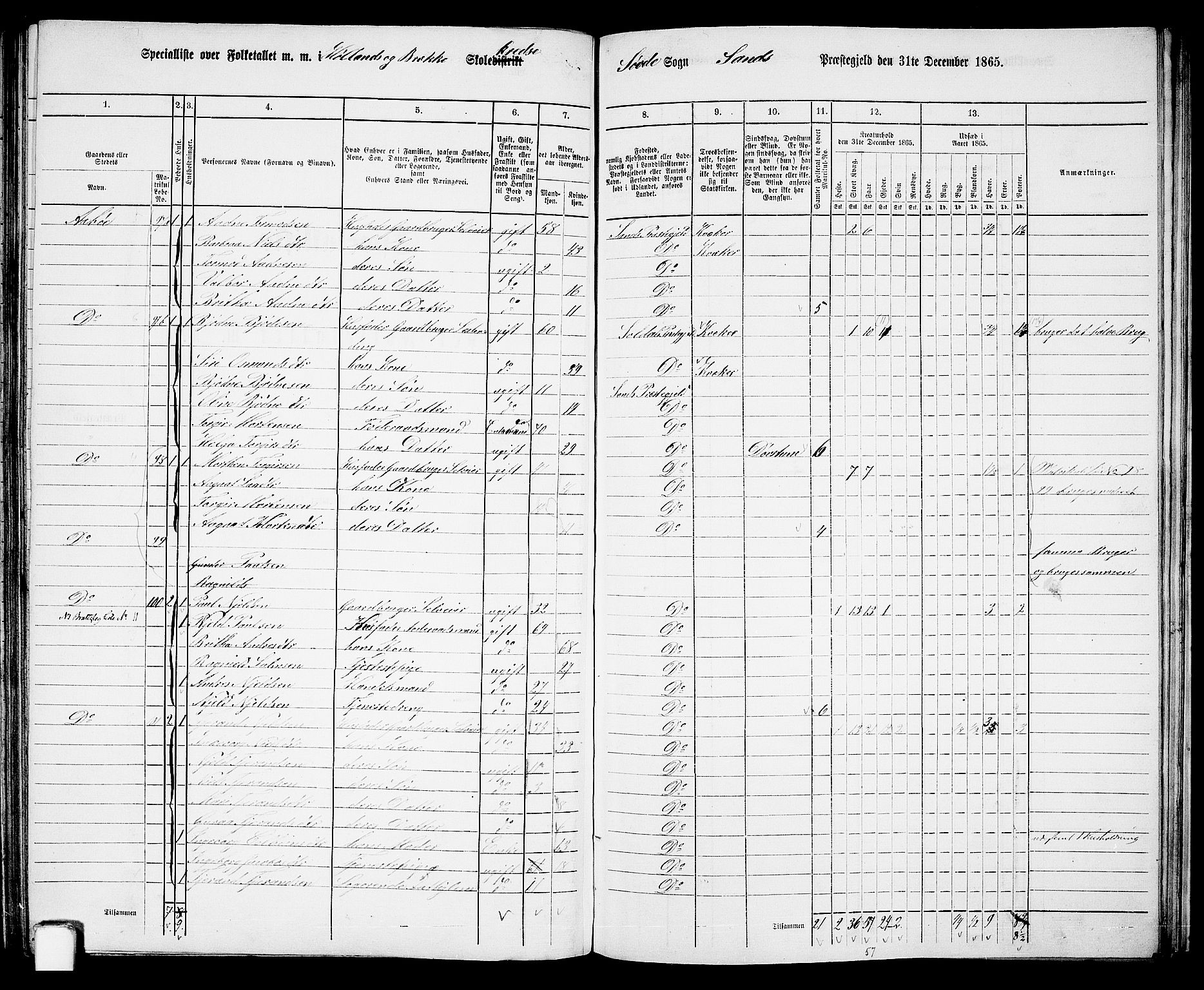 RA, 1865 census for Sand, 1865, p. 120