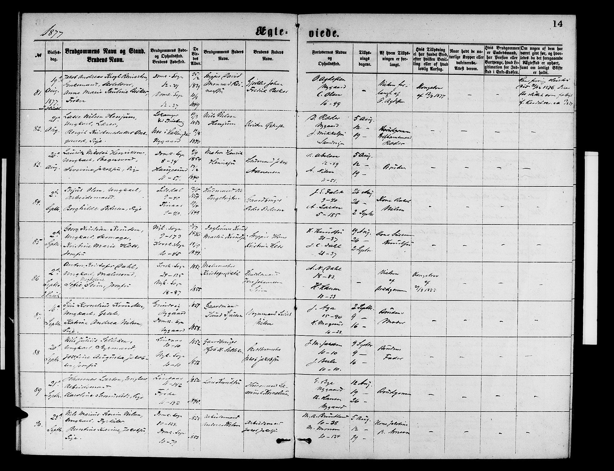 Domkirken sokneprestembete, AV/SAB-A-74801/H/Hab/L0031: Parish register (copy) no. D 3, 1877-1880, p. 14