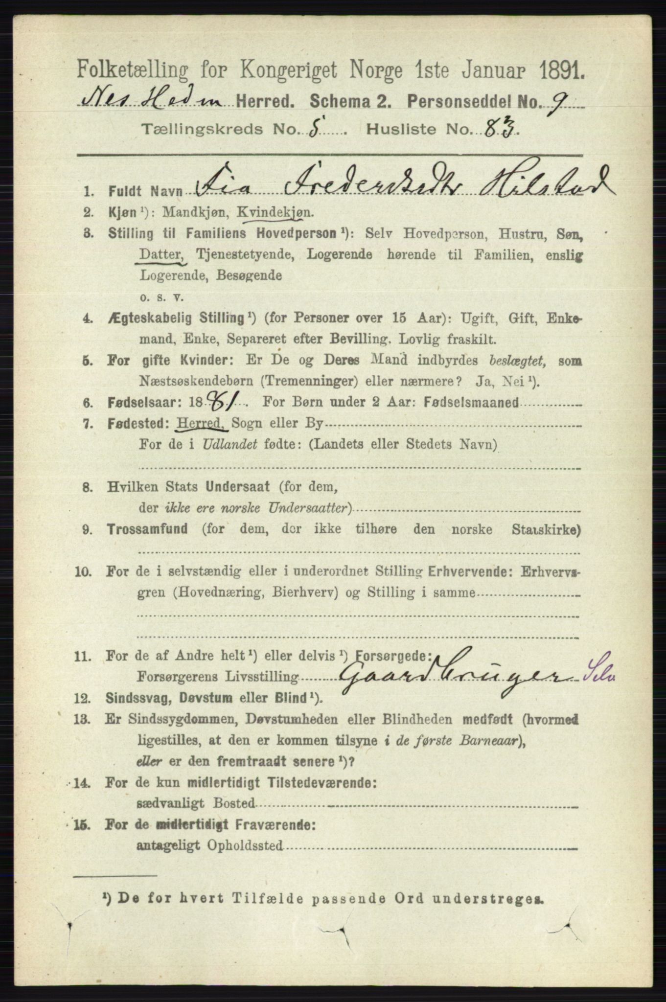 RA, 1891 census for 0411 Nes, 1891, p. 3147