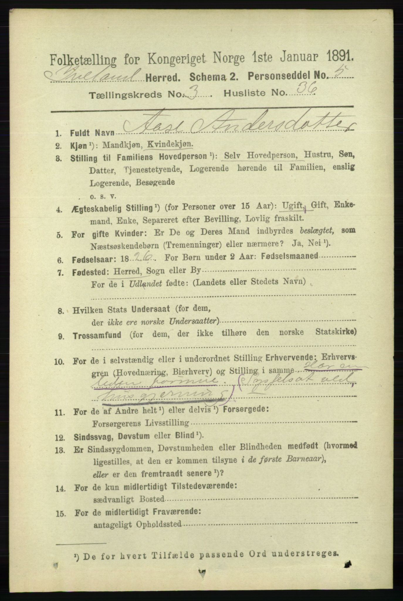 RA, 1891 census for 0935 Iveland, 1891, p. 976