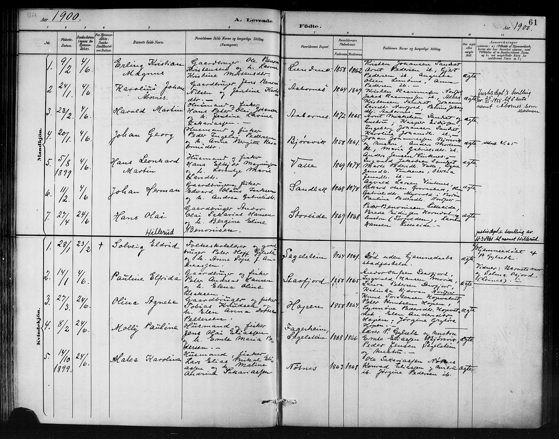 Ministerialprotokoller, klokkerbøker og fødselsregistre - Nordland, AV/SAT-A-1459/858/L0831: Parish register (official) no. 858A01, 1884-1902, p. 61